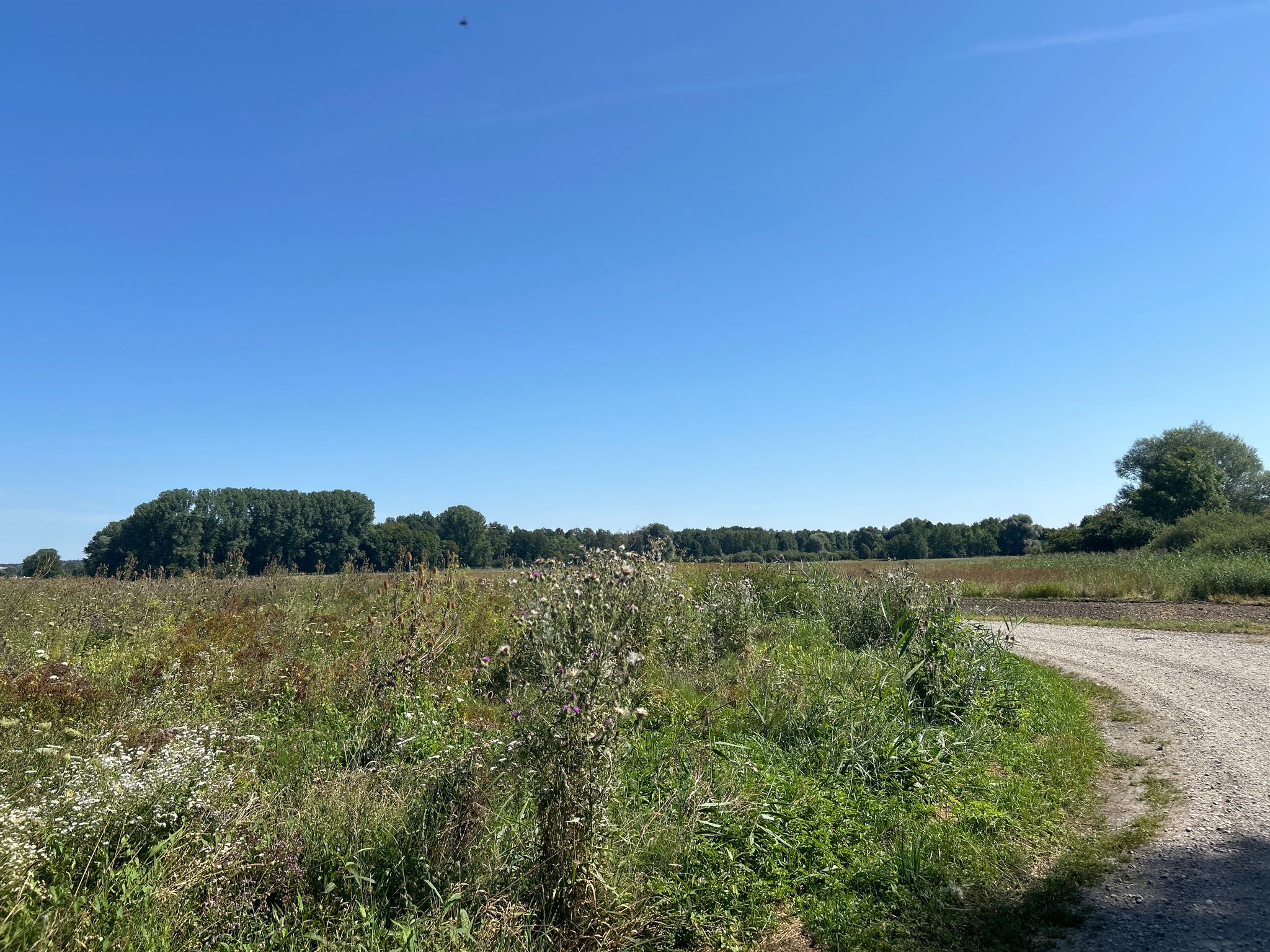 Am Galgenbach