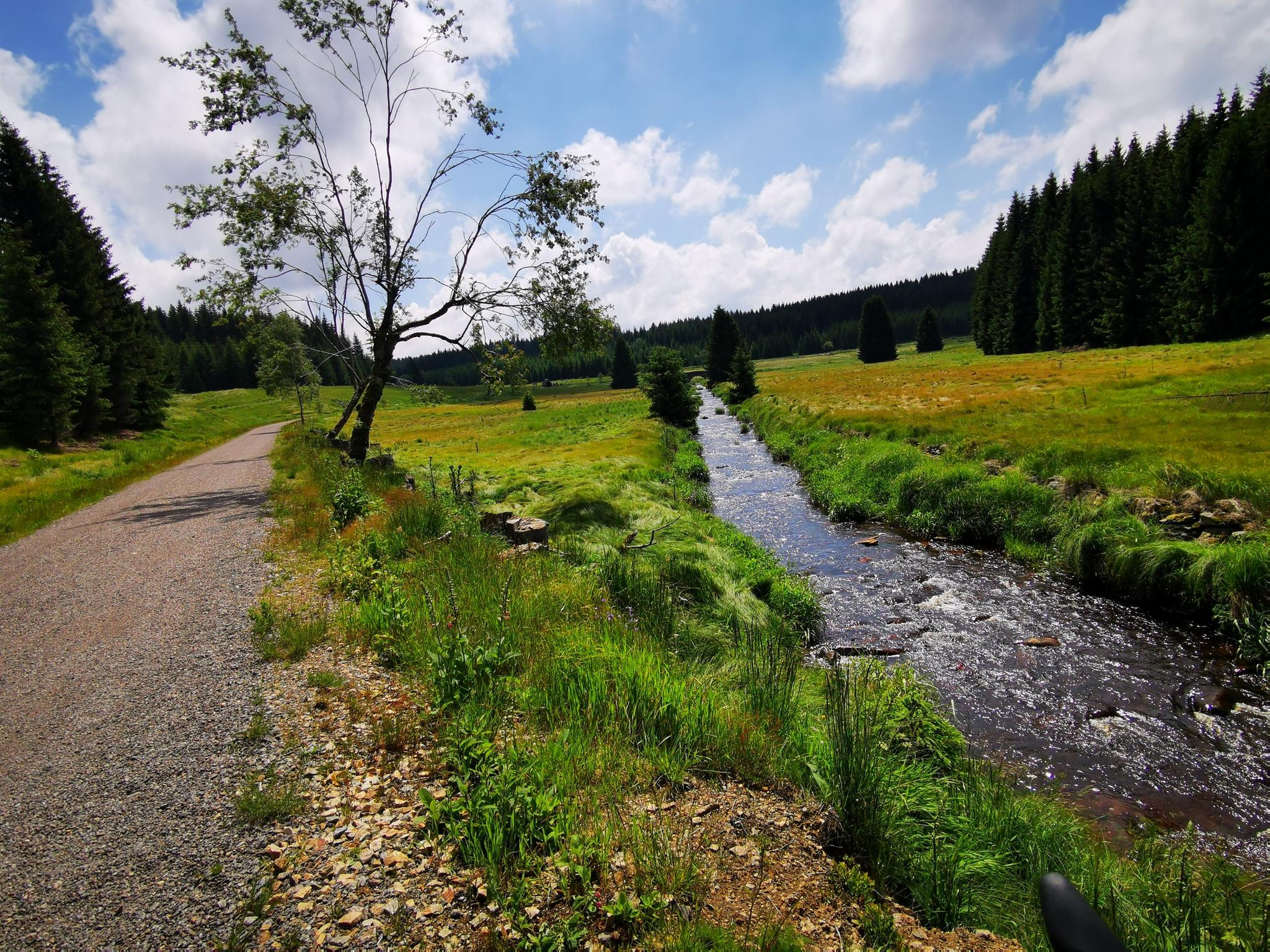 O que fazer em Oembergmoor Und Wambachtal