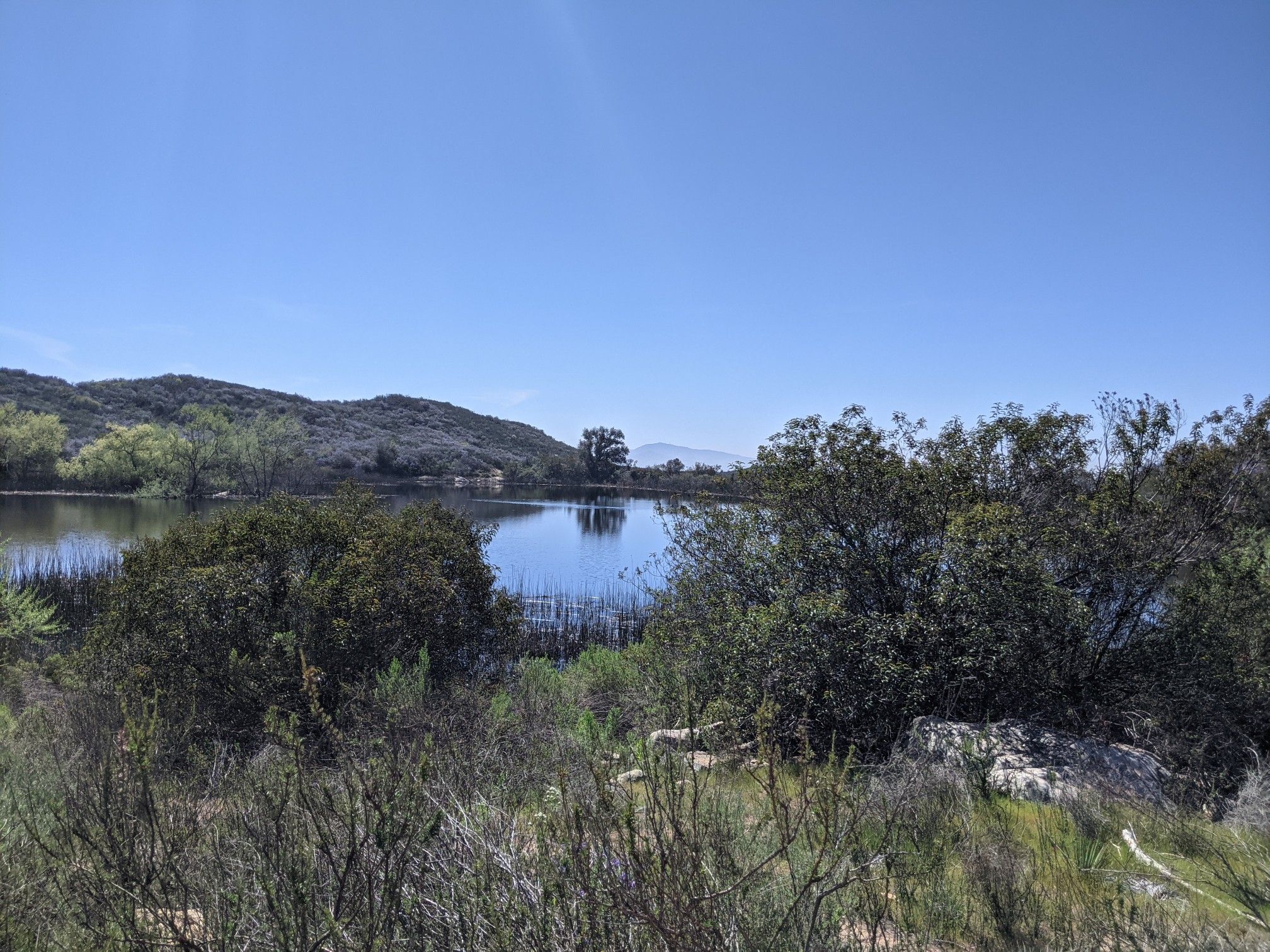 Calm lake reflecting trees, surrounded by green and dry brush. - Mallard Lake – Daley Ranch Conservation Area loop from Dixon Lake Entrance