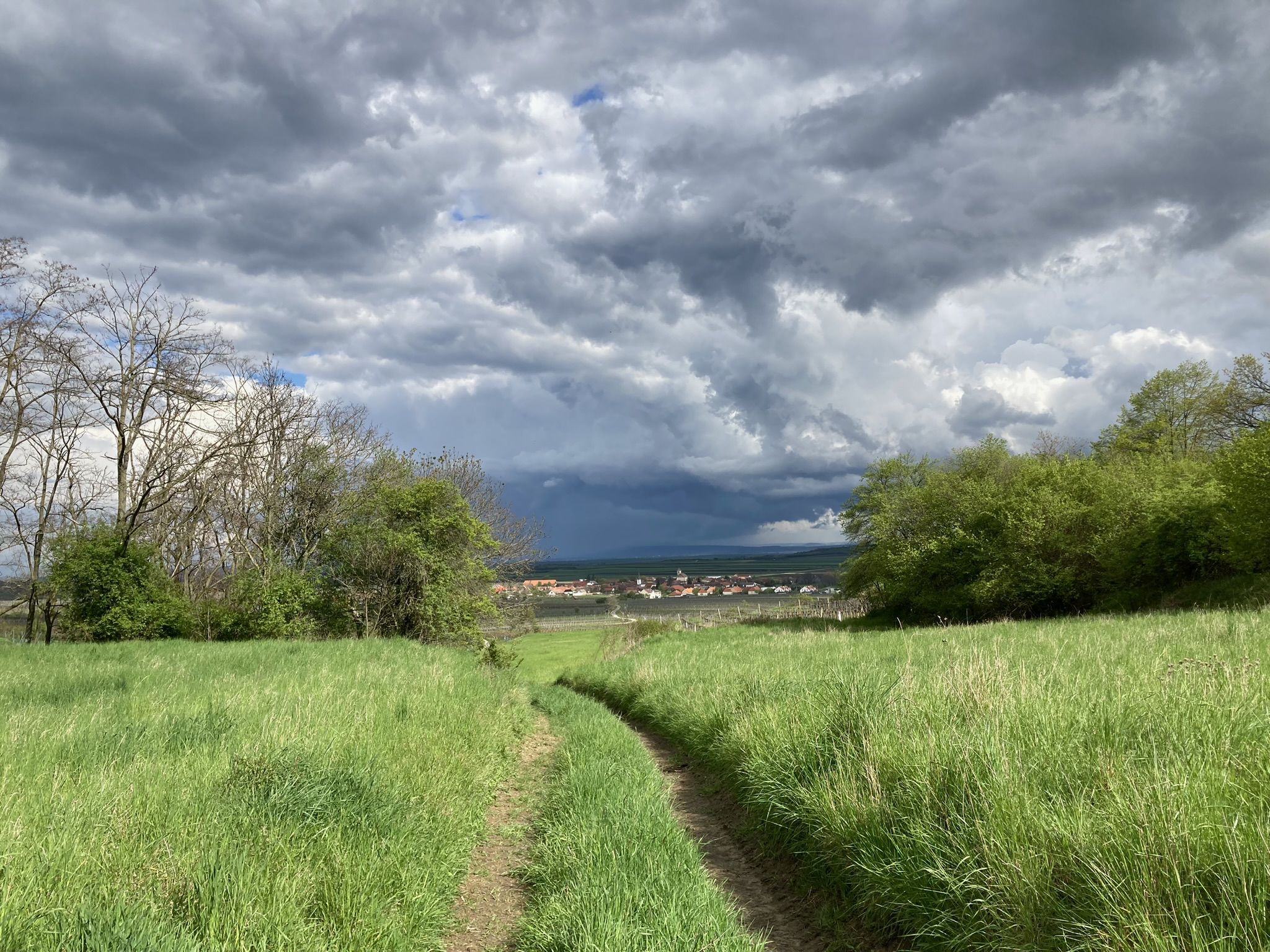 Komoot, du ordnest die Bilder falsch!! Hier noch ein Blick auf Obermarkersdorf, VOR dem Waldweg.