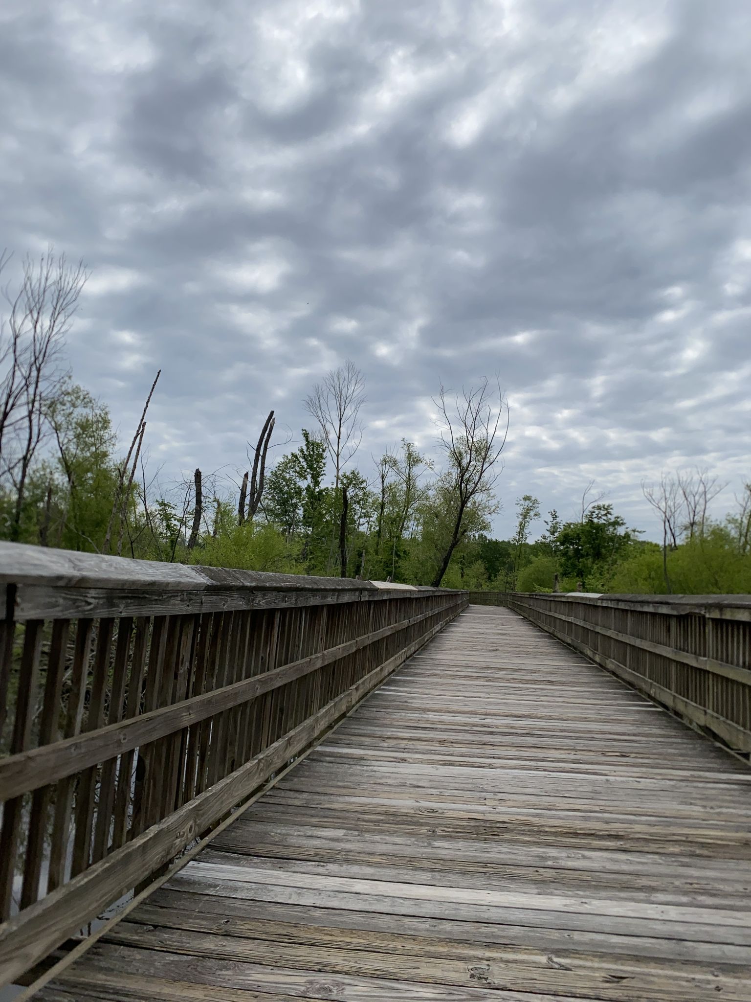 A long wooden boardwalk stretches into the distance through wetlands under cloudy sky. - Moore Square – Downtown Raleigh loop from Shaw University