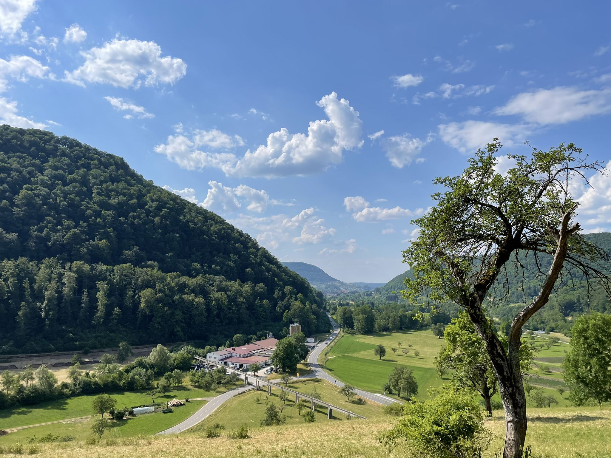 Schlattstall.