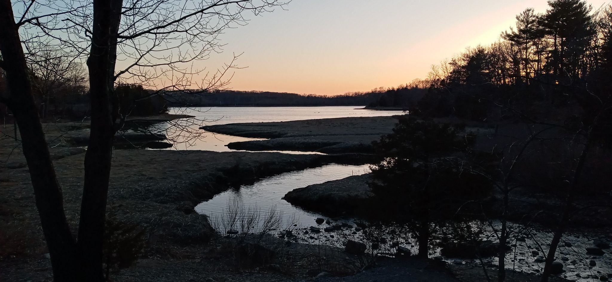 Winding river through a marsh at sunset, silhouetted trees on the banks. - Bare Cove Loop (Long) – Bare Cove Park