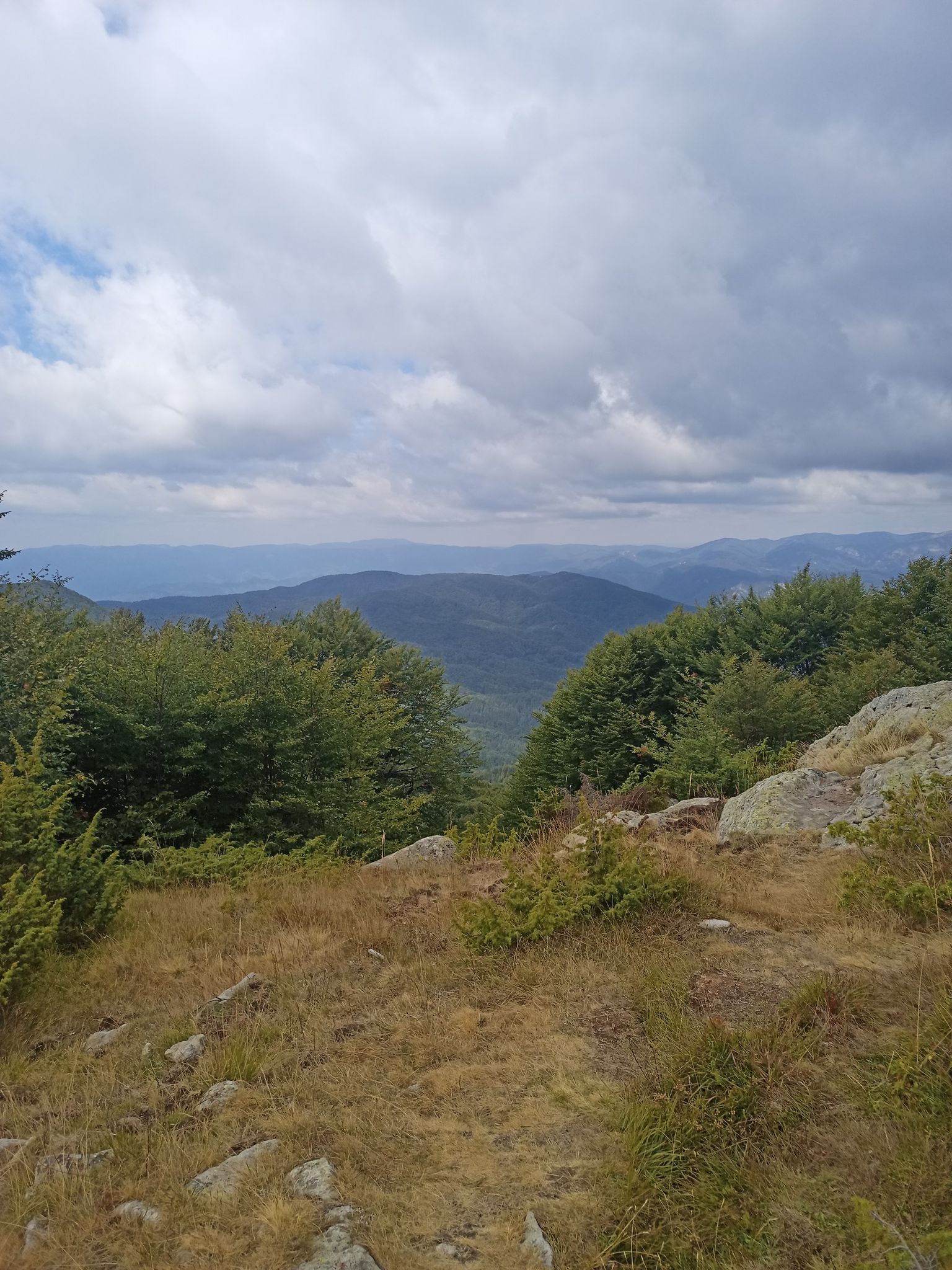 View from Ardin Peak