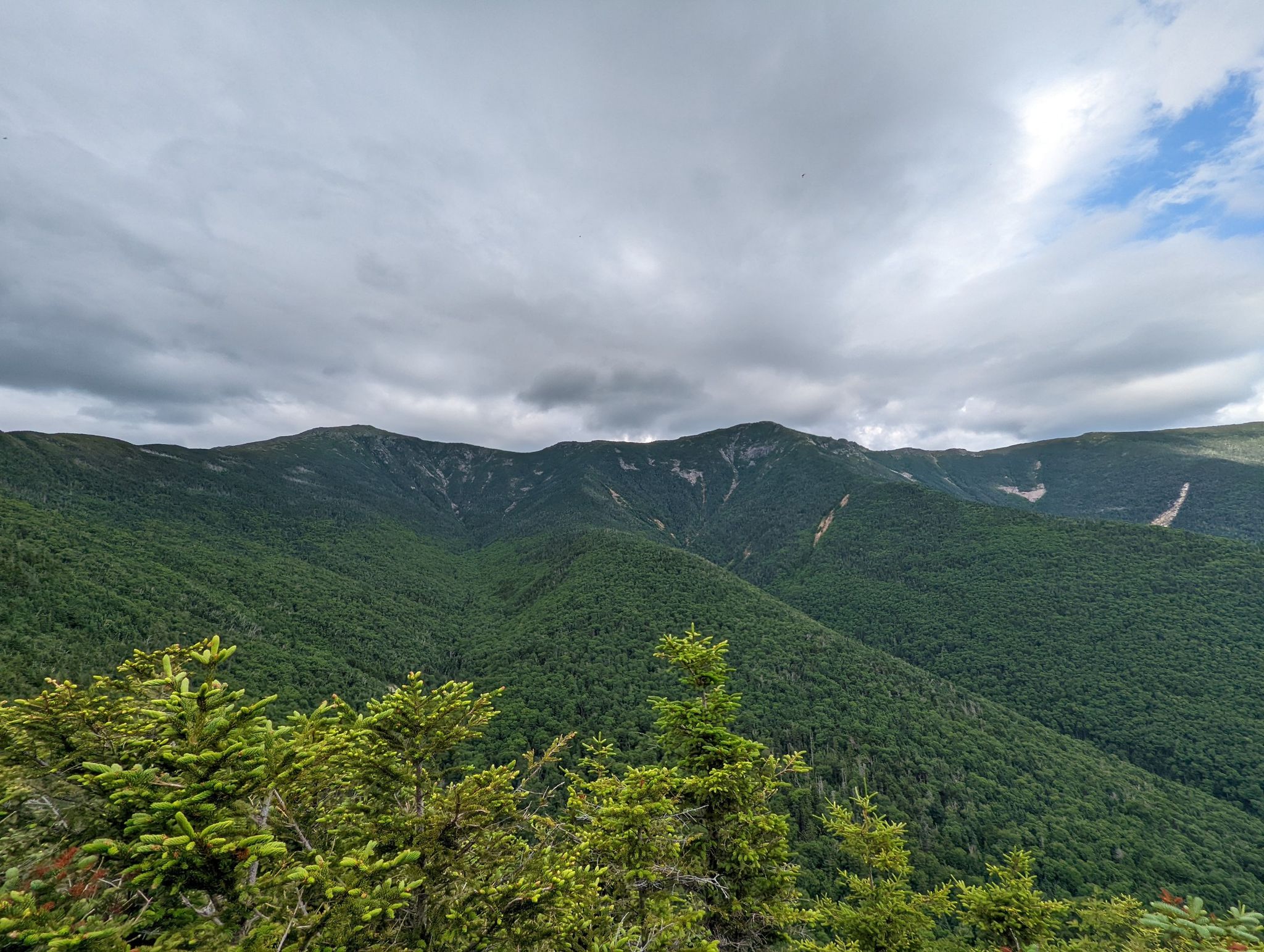Green forested mountains under a cloudy sky, with evergreen branches in foreground. - Old Bridle Path
