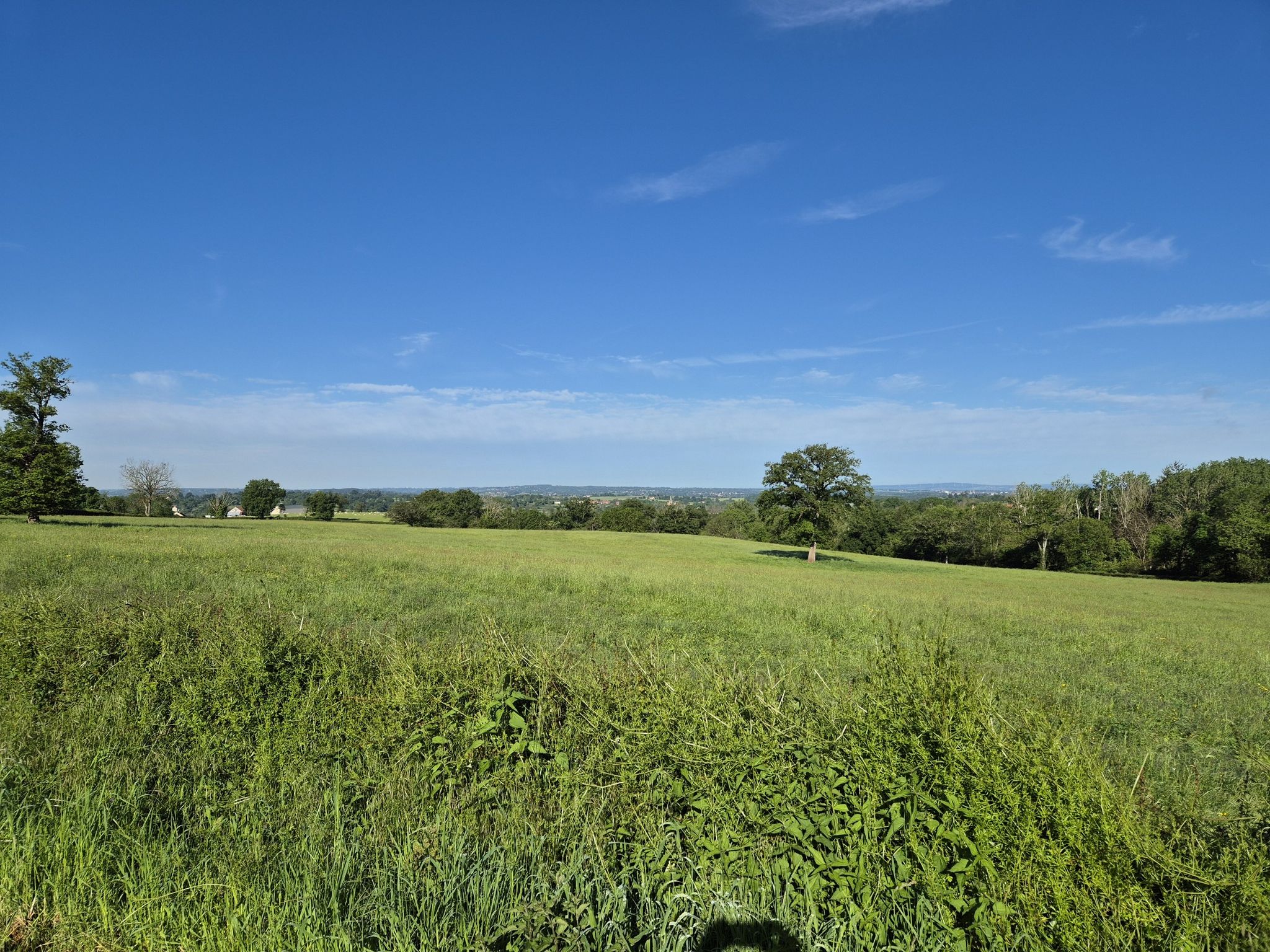 paysage