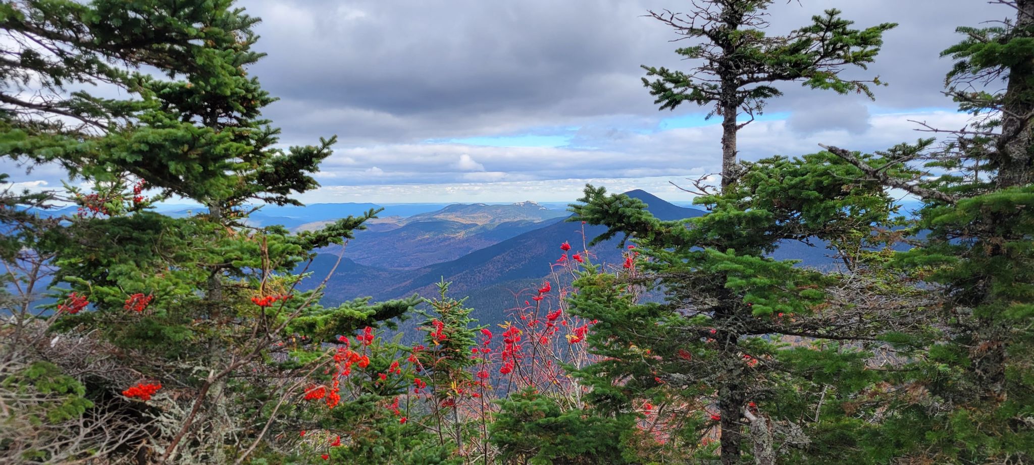 Mountain vista with evergreen trees and red foliage under a cloudy sky. - Pine Bend Brook Trail to Sabbaday Brook Trail Loop