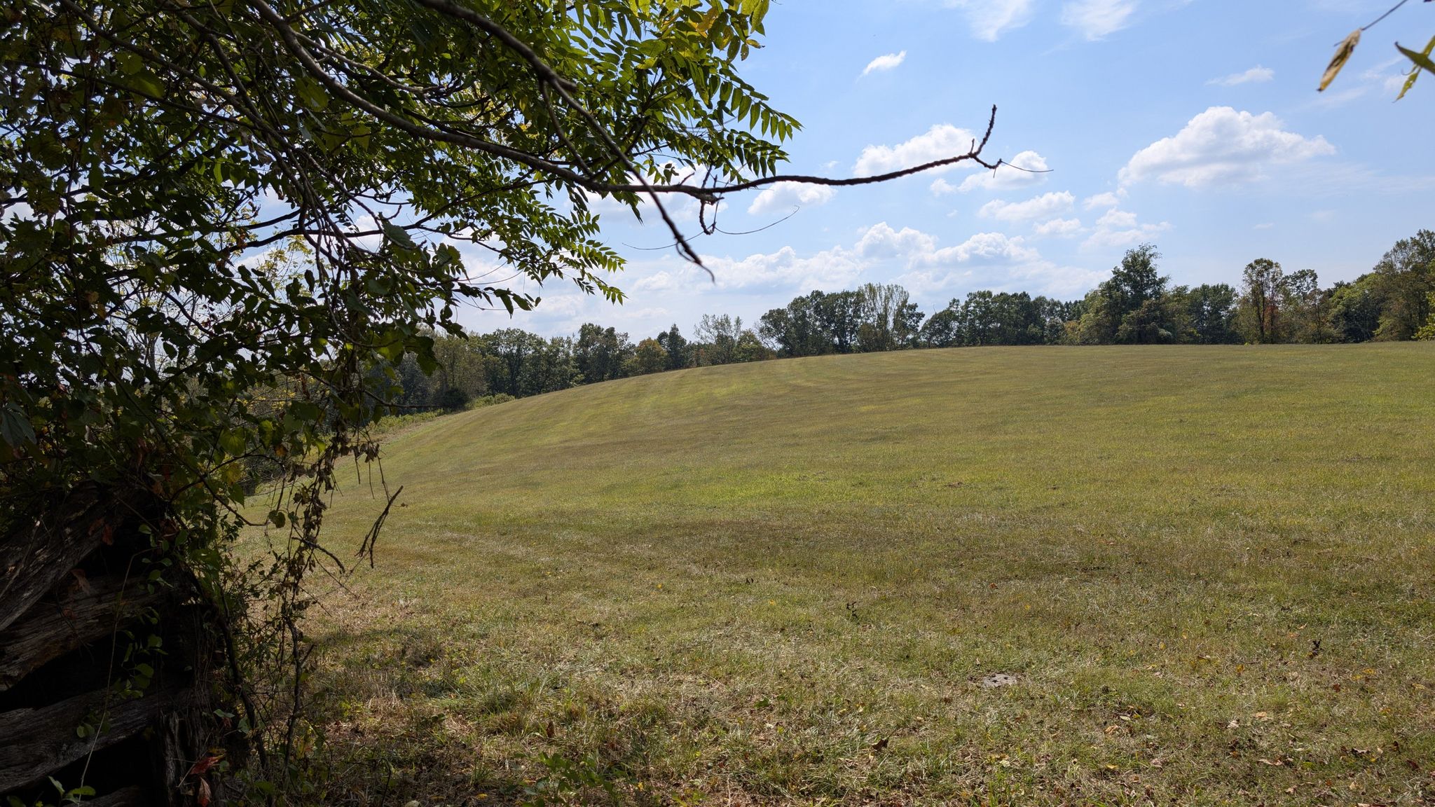 Sunny, expansive green field with distant trees under a blue sky. - Kingsley, Purdum, Timber, Dark Branch, Sidewinder and Bennett Ridge Loop