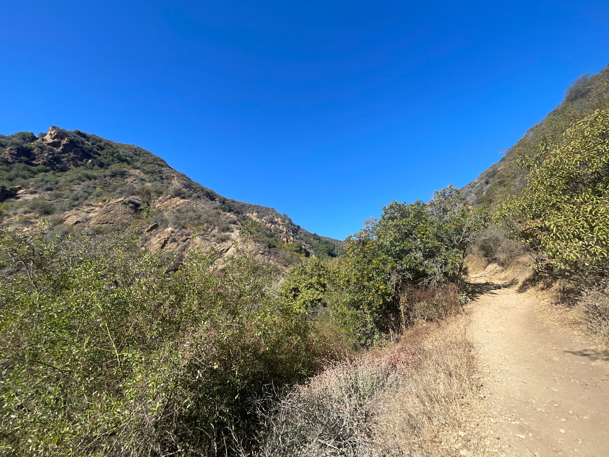 A dirt trail winding between two steep, brush-covered hills under a clear sky. - Temescal Canyon Falls – Stewart Hall loop from Will Rogers State Beach