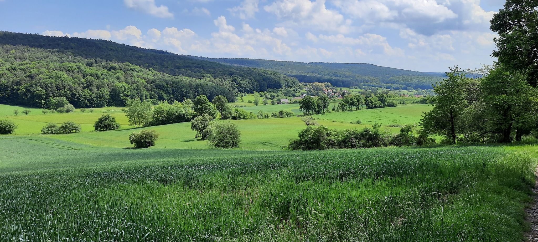 blick nach Rabelsdorf