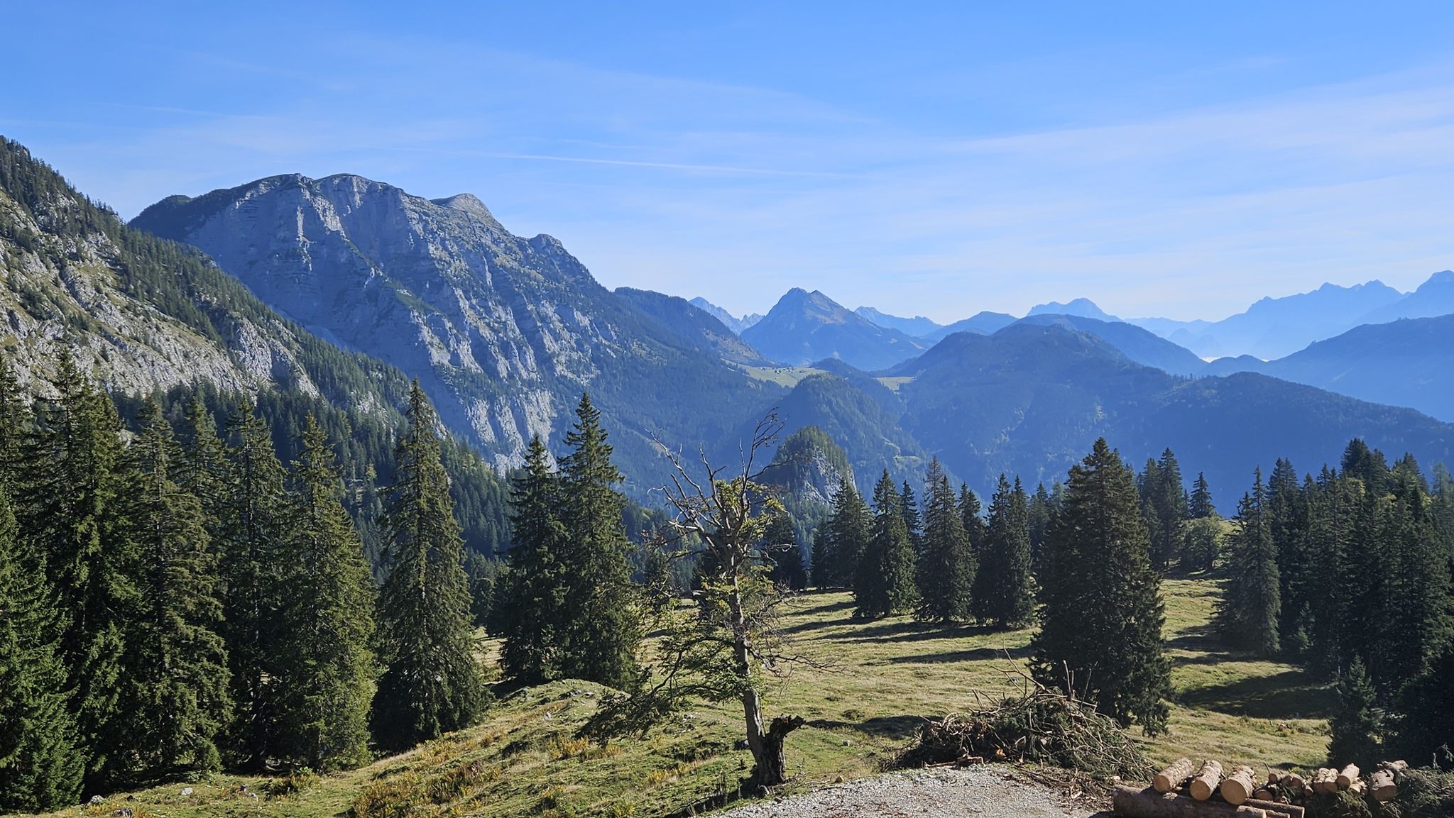 Nazogl mit Hintereggeralm