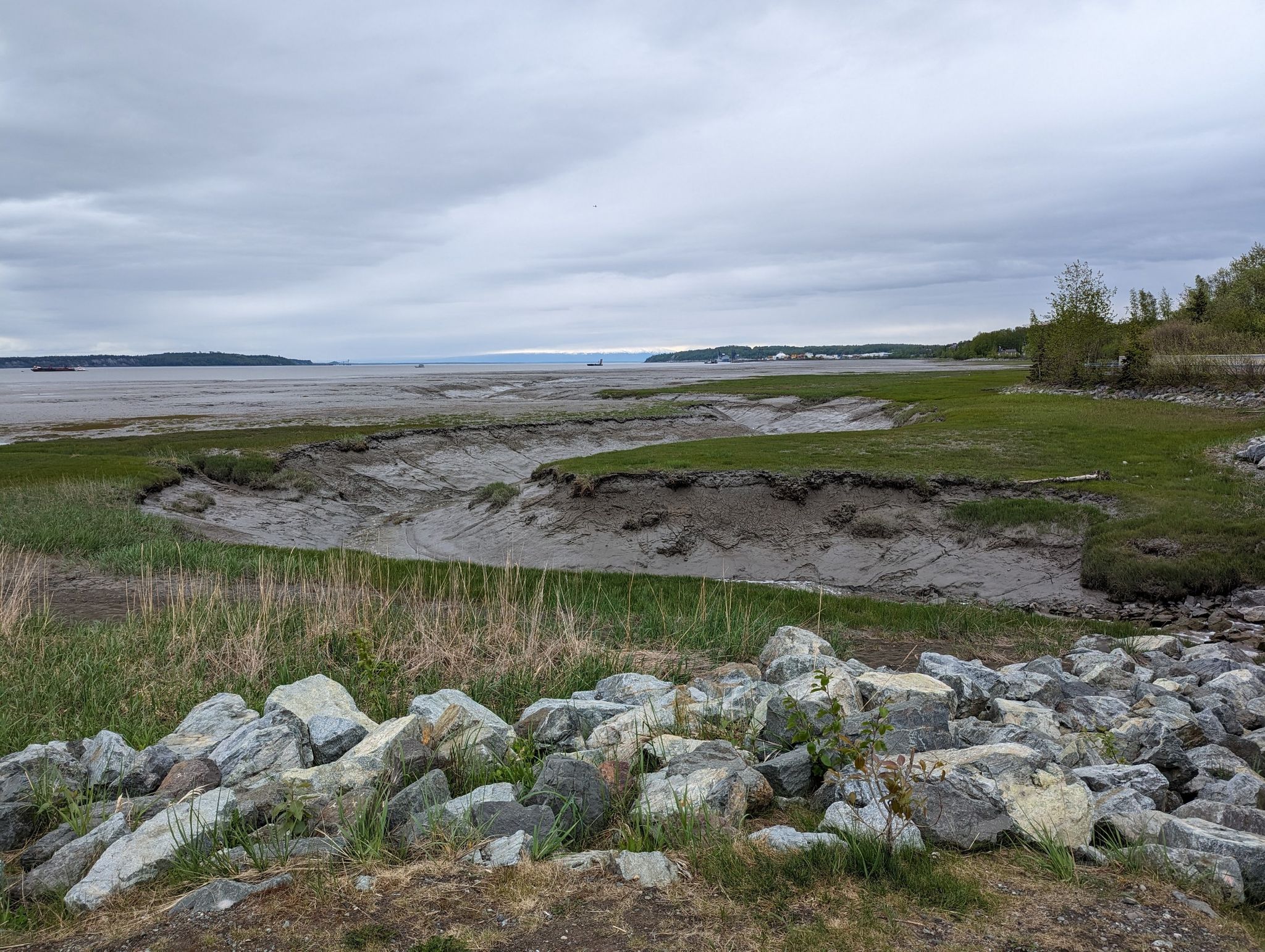 Rocky foreground overlooking muddy tidal flats with green grass under cloudy sky. - Lake Spenard – Westchester Lagoon loop from Anchorage Airport