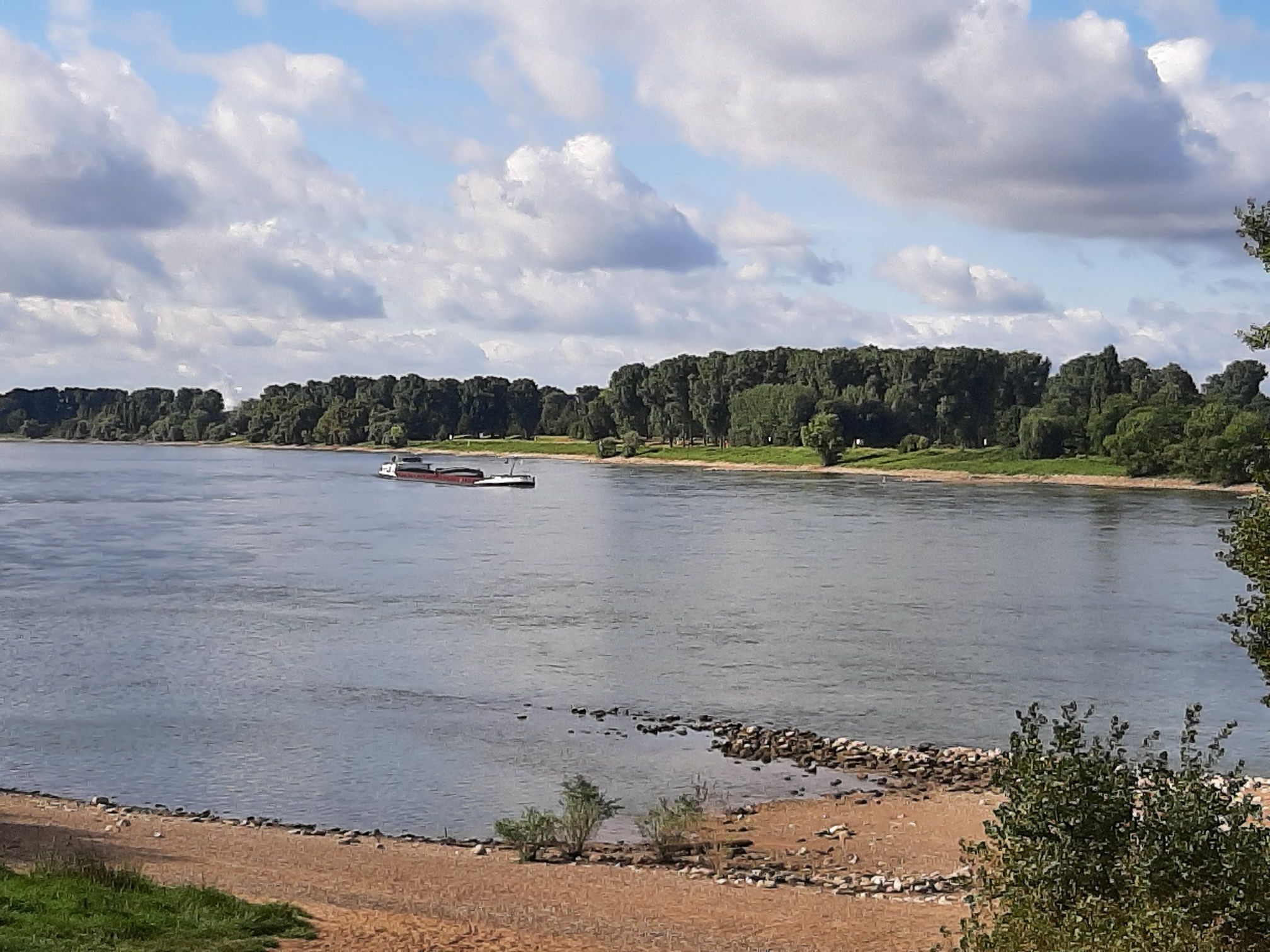 Der Reihn