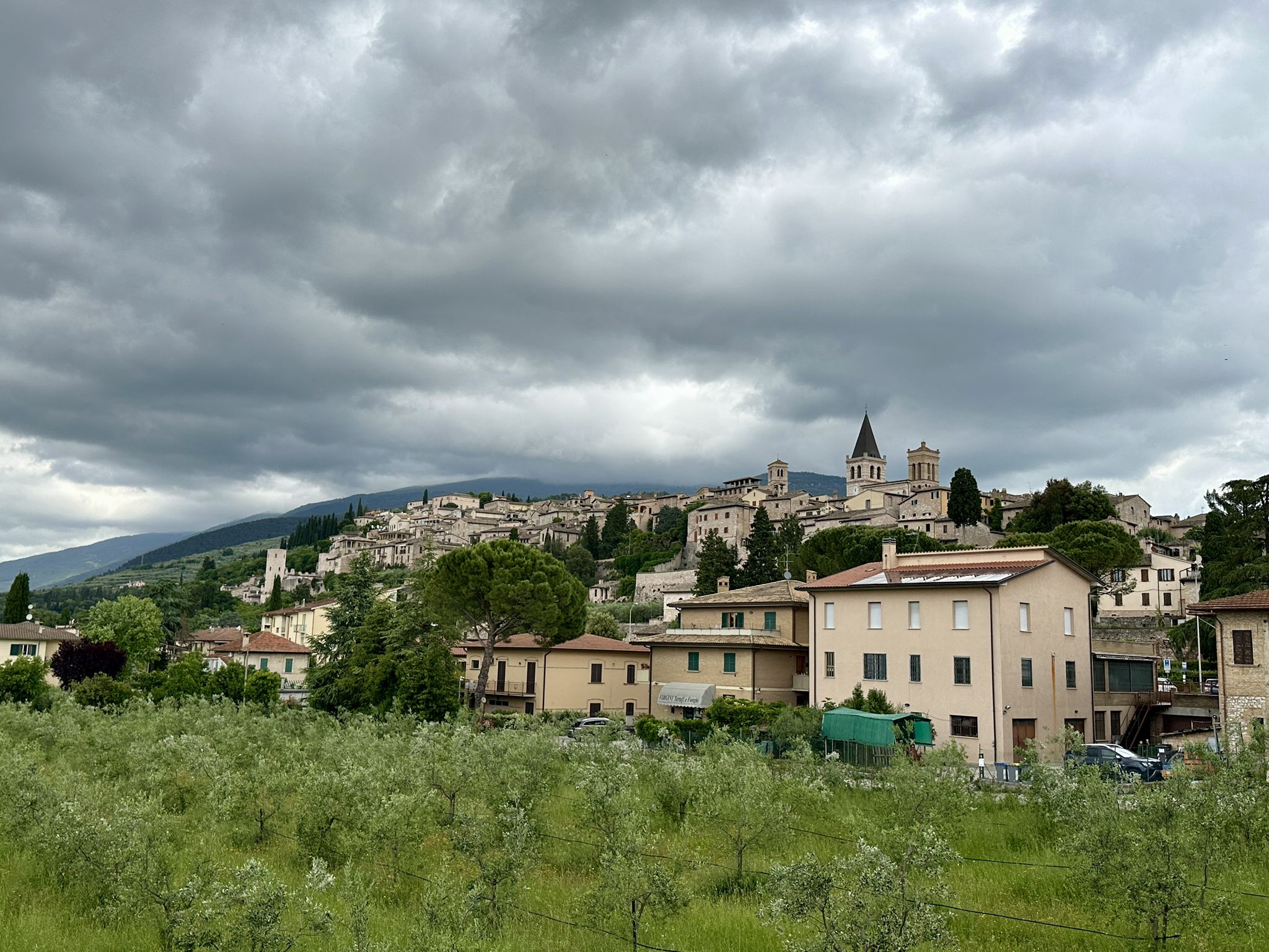 Spello