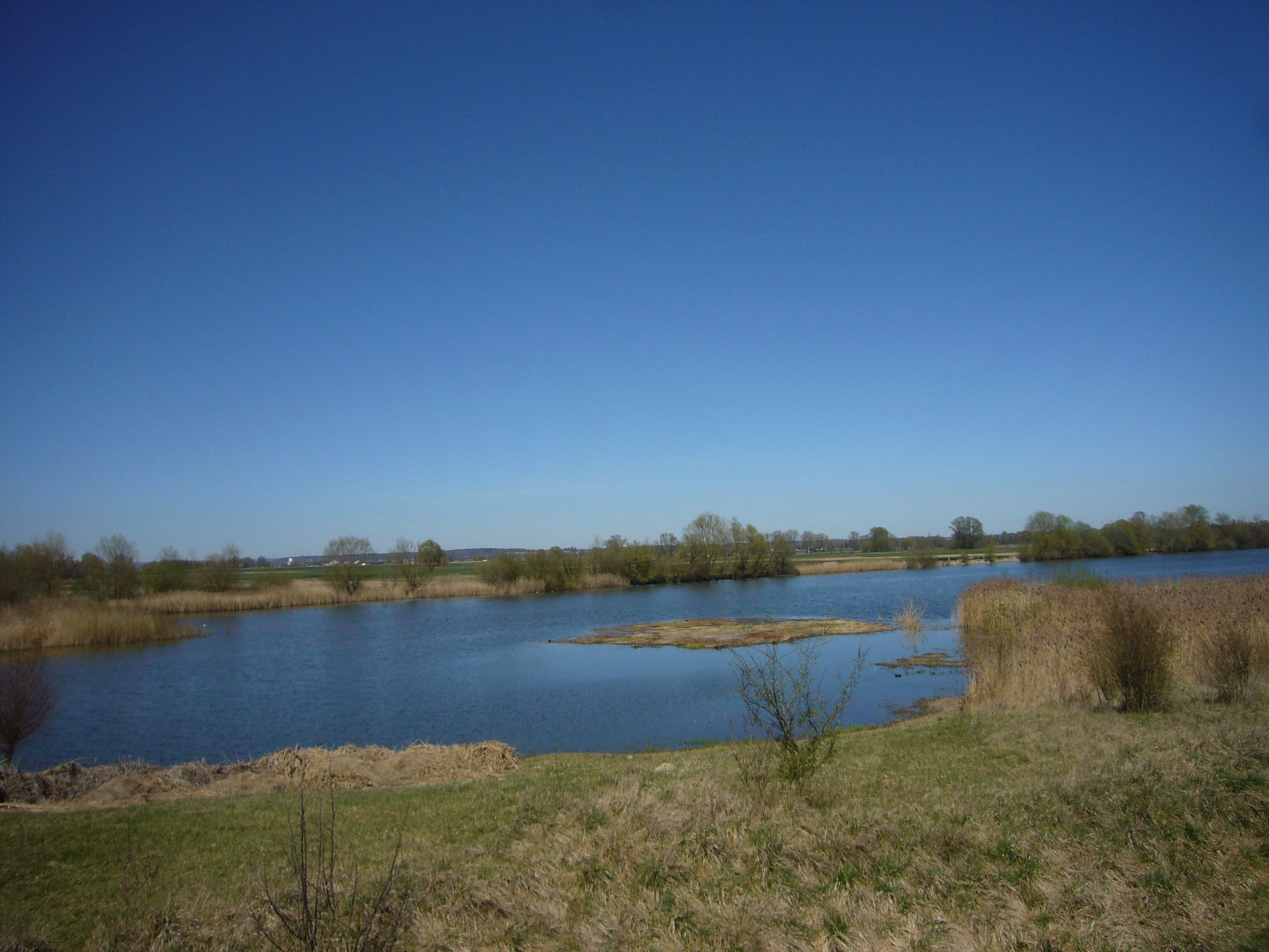 Vogelbeobachtungsturm Sophienried
