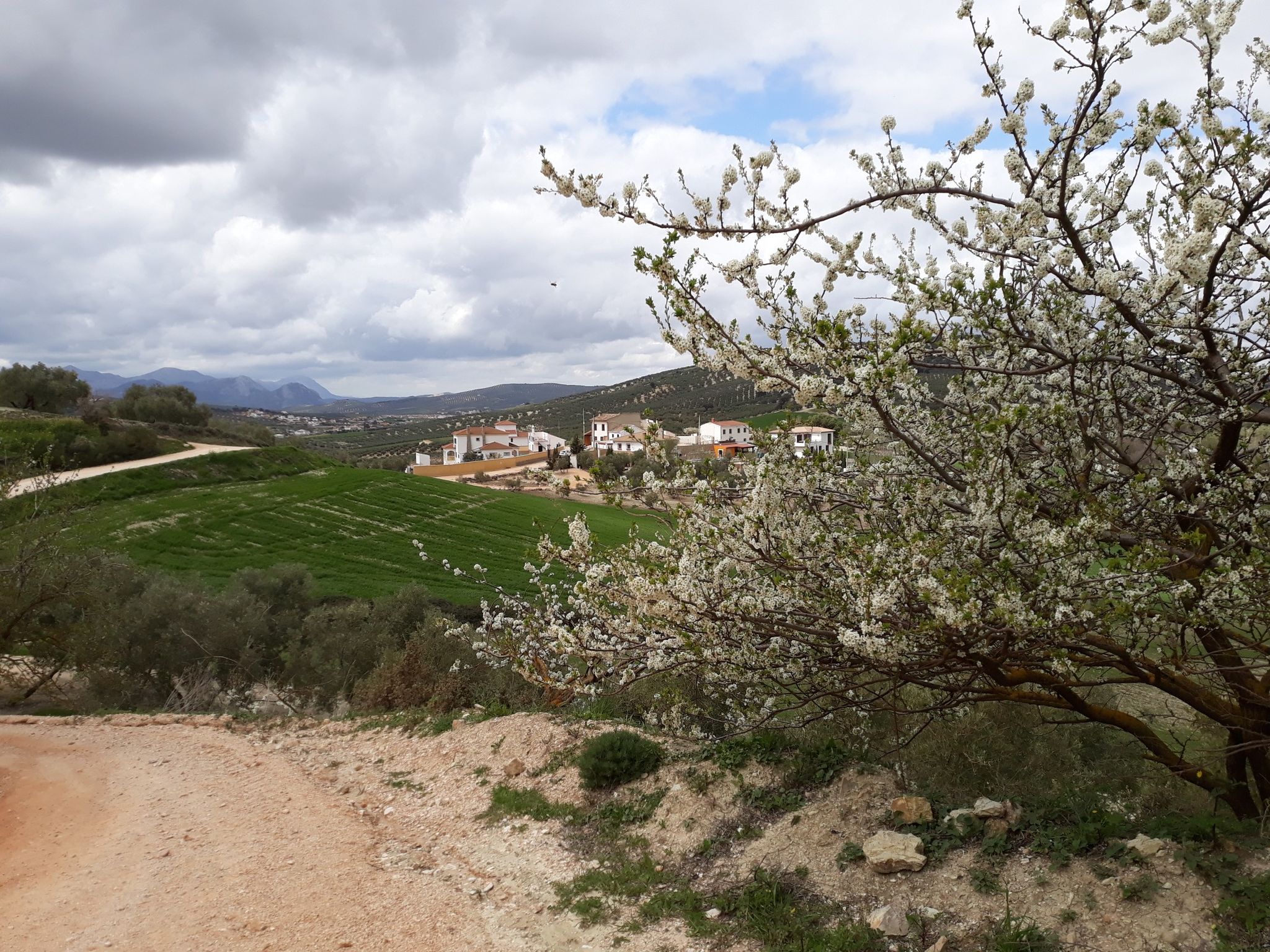 despierta la naturaleza ! 