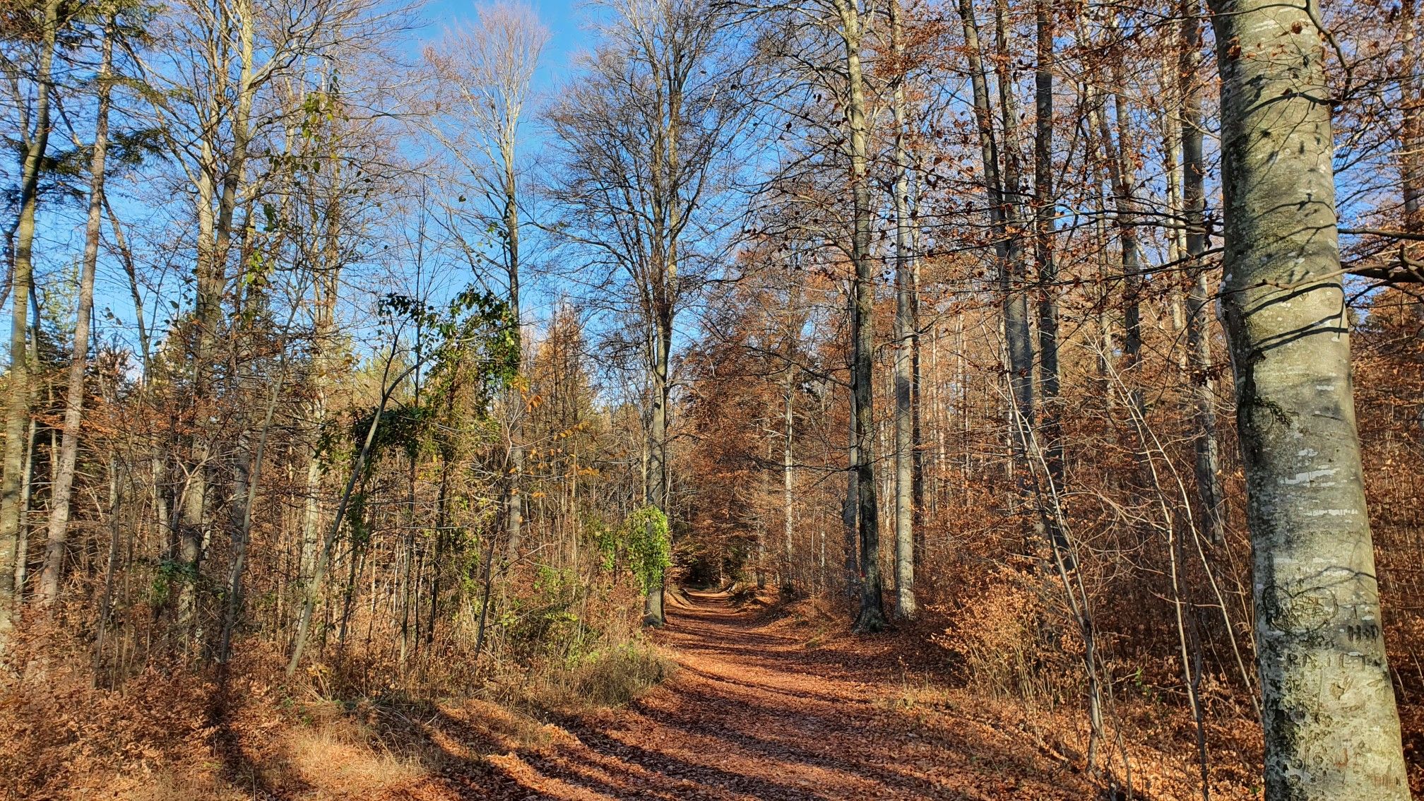 Fürstenwald