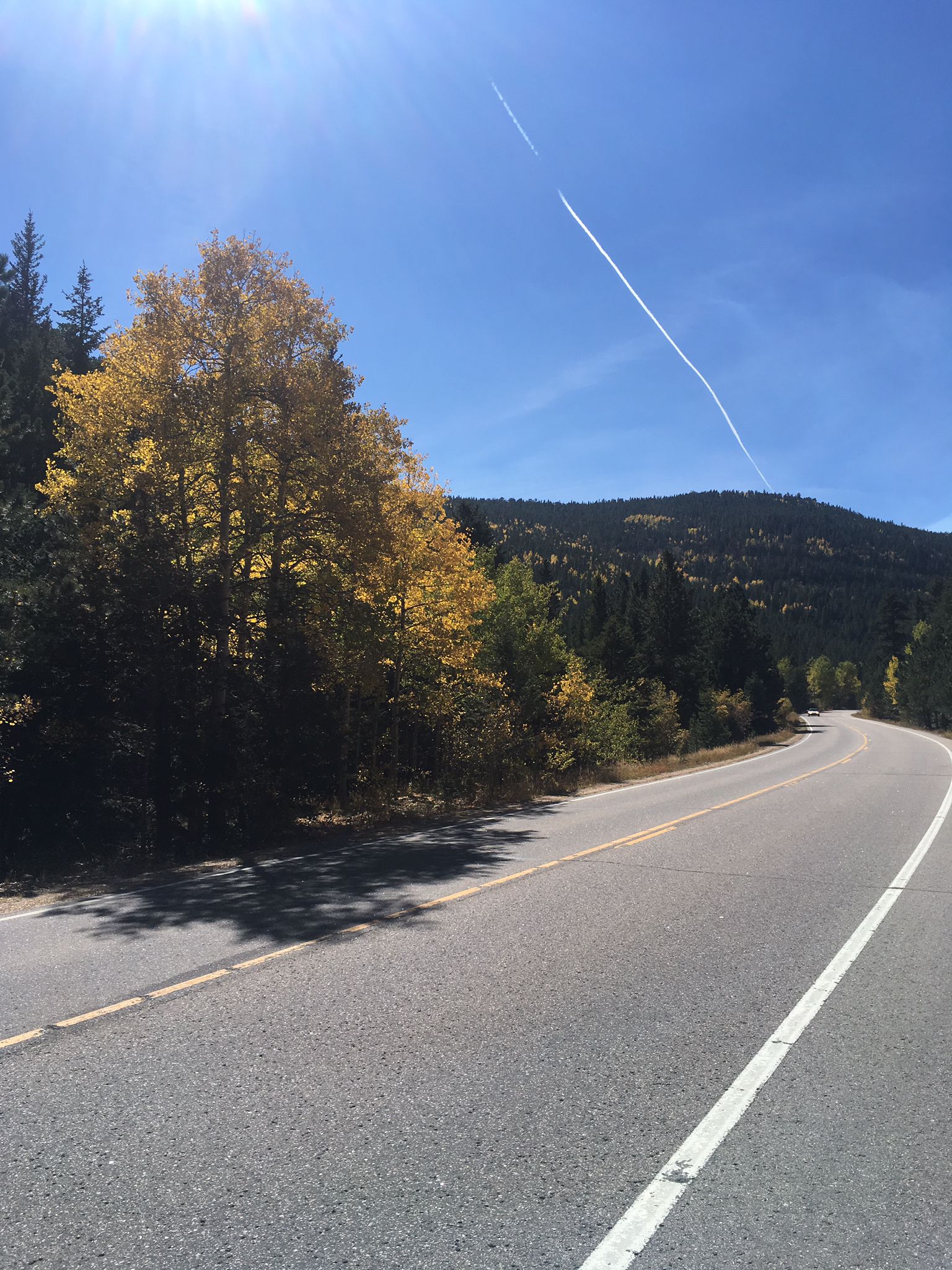 Curved road with bright yellow autumn trees under a sunny blue sky. - Gold Hill General Store loop from Gold Hill