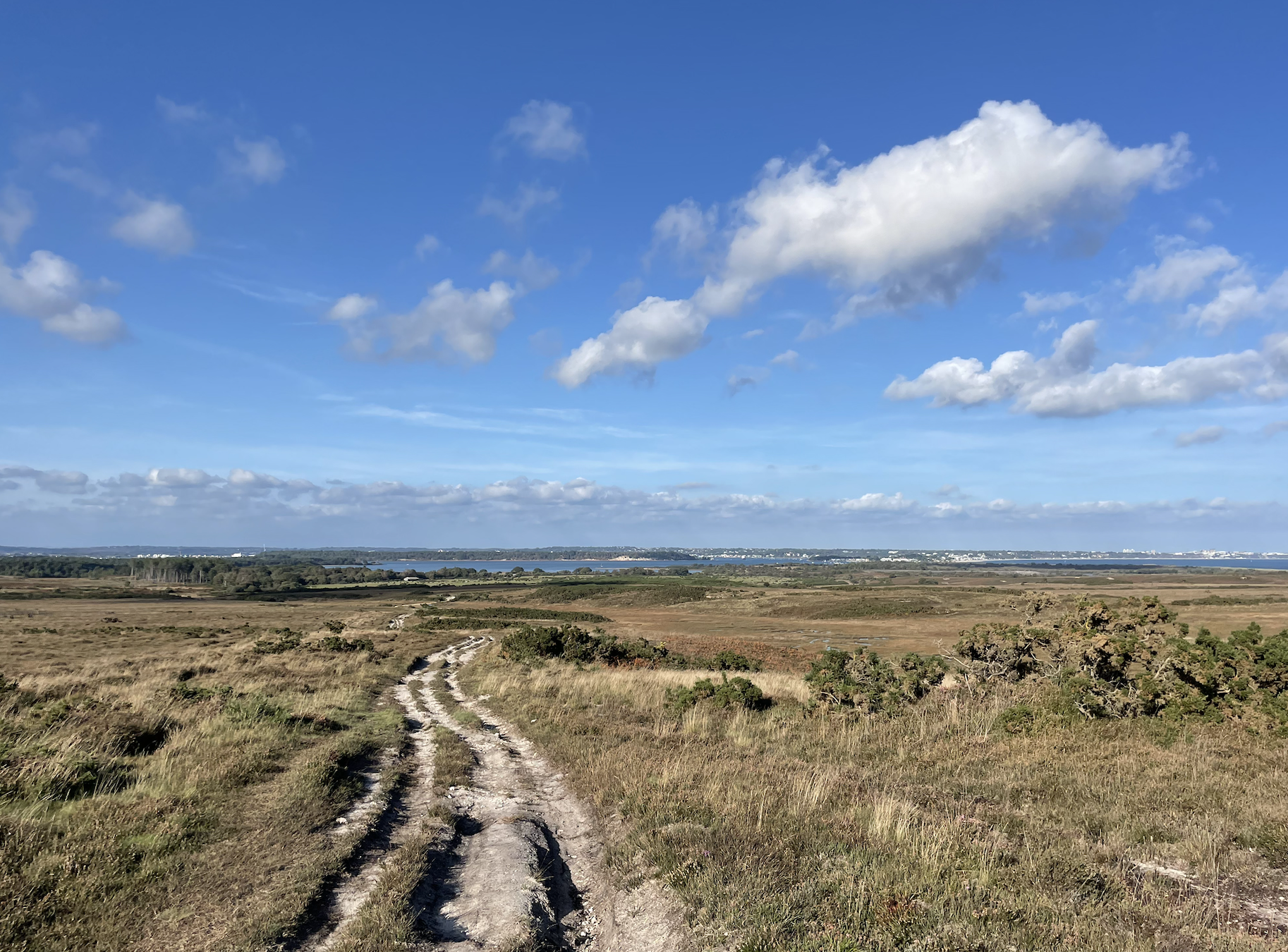 Heaths, history, commons and coast – 5 beautiful Purbeck walks | Hiking ...