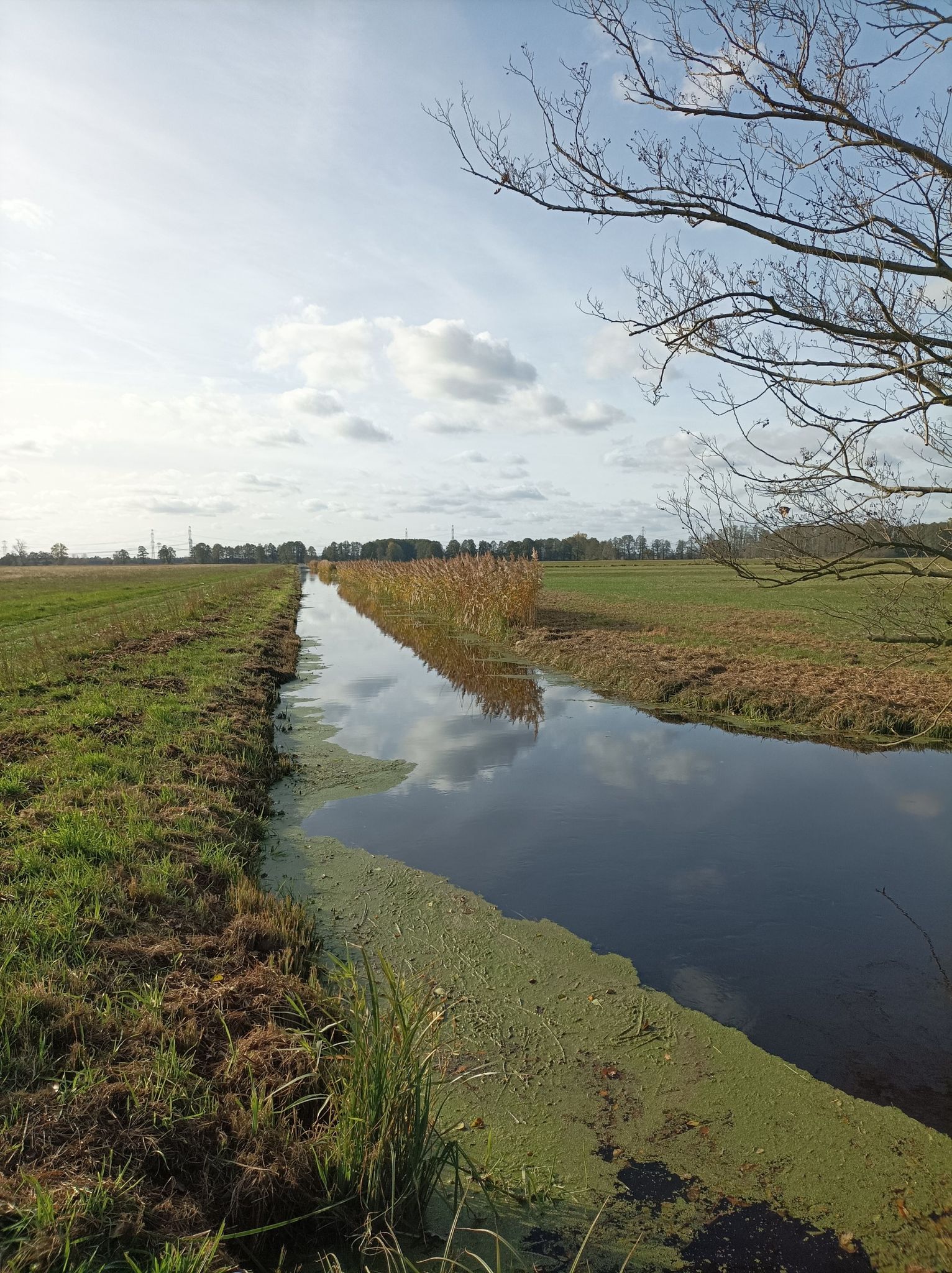 am Drewitzer Graben