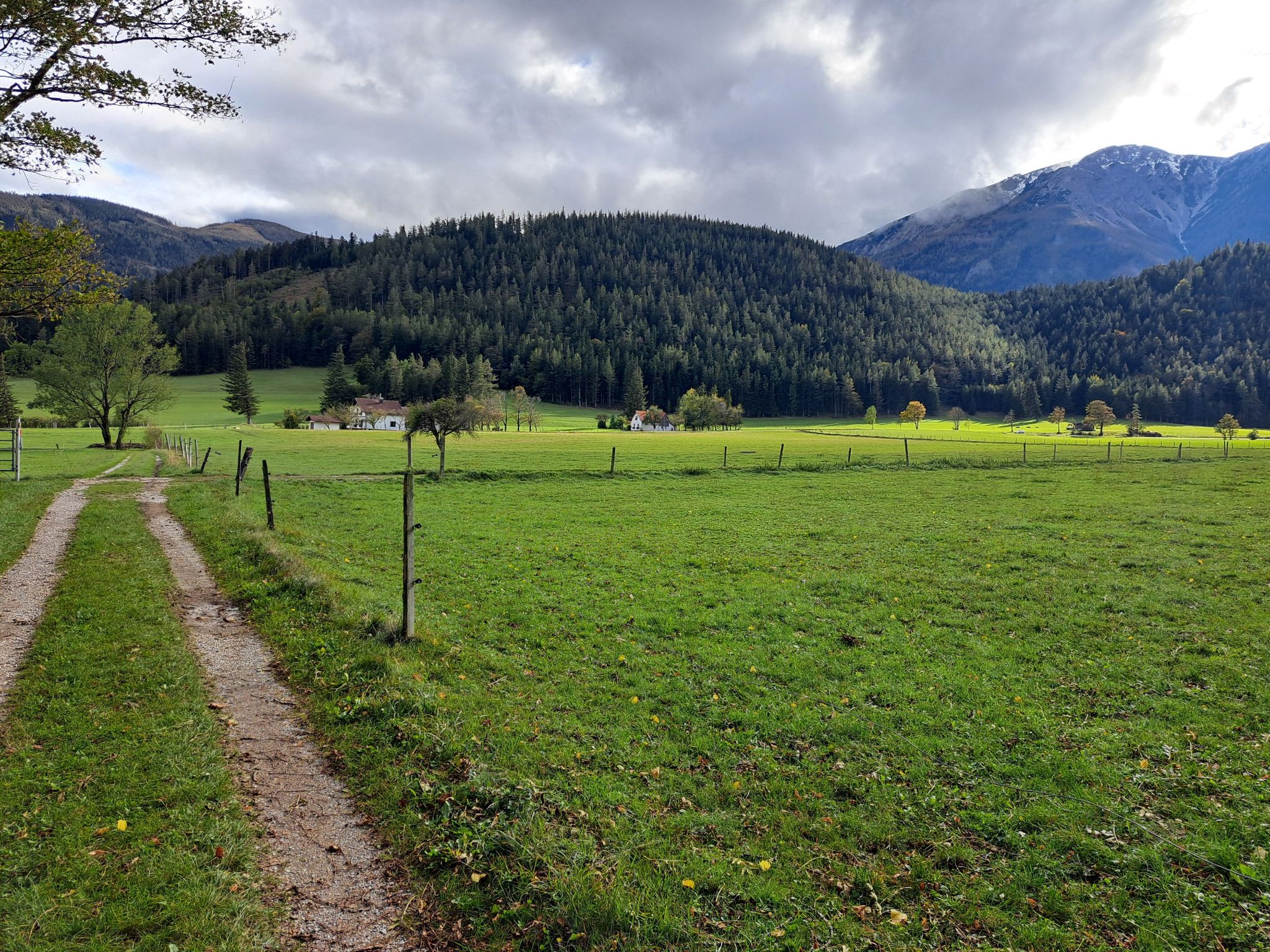lovely path