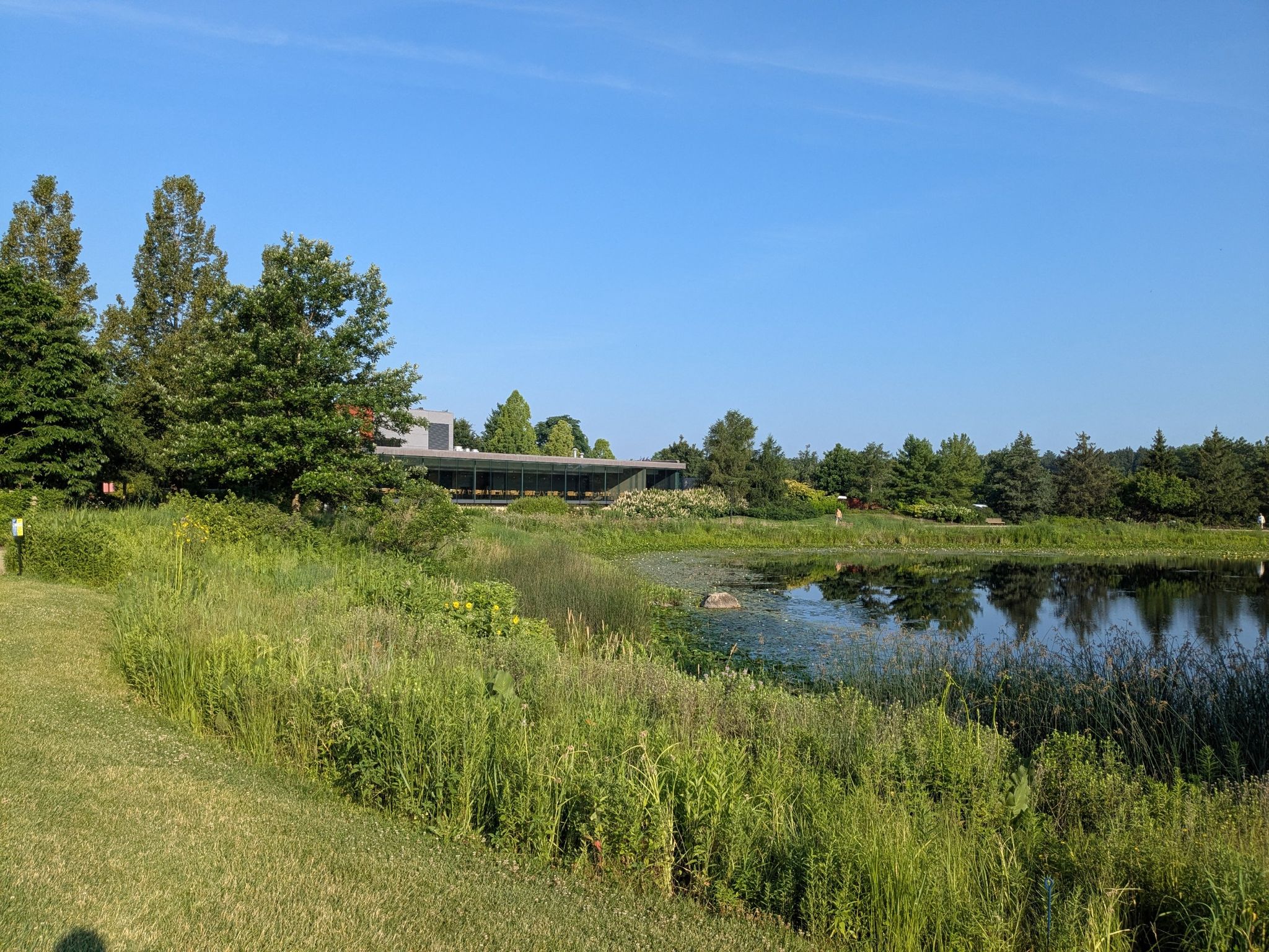 Modern building visible across a pond with lush green foreground under clear sky. - Main Route East