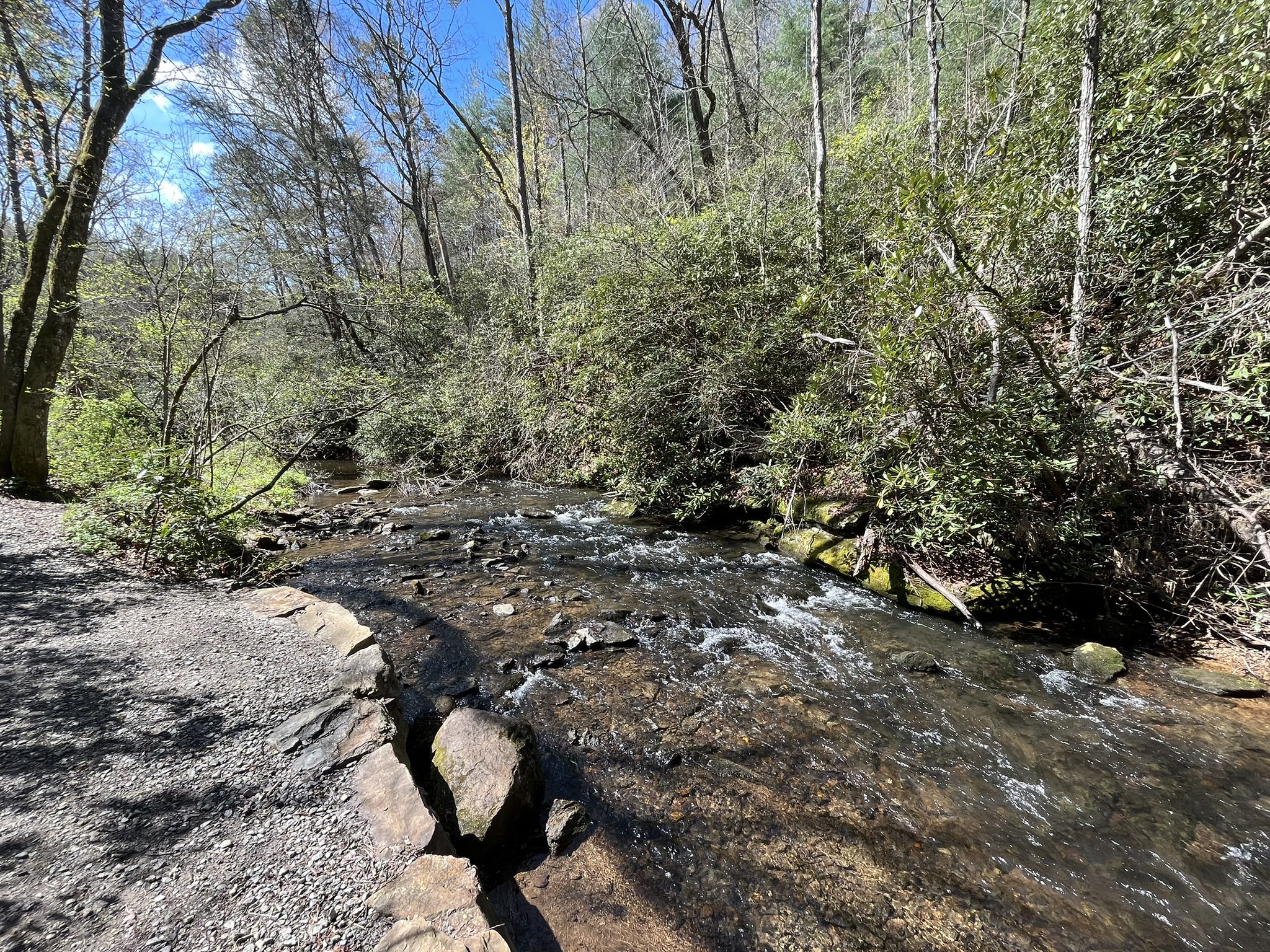 A sunlit, rocky stream flows through a lush forest on a bright day. - Bent Creek Experimental Forest – Hard Times Road loop from Bent Creek