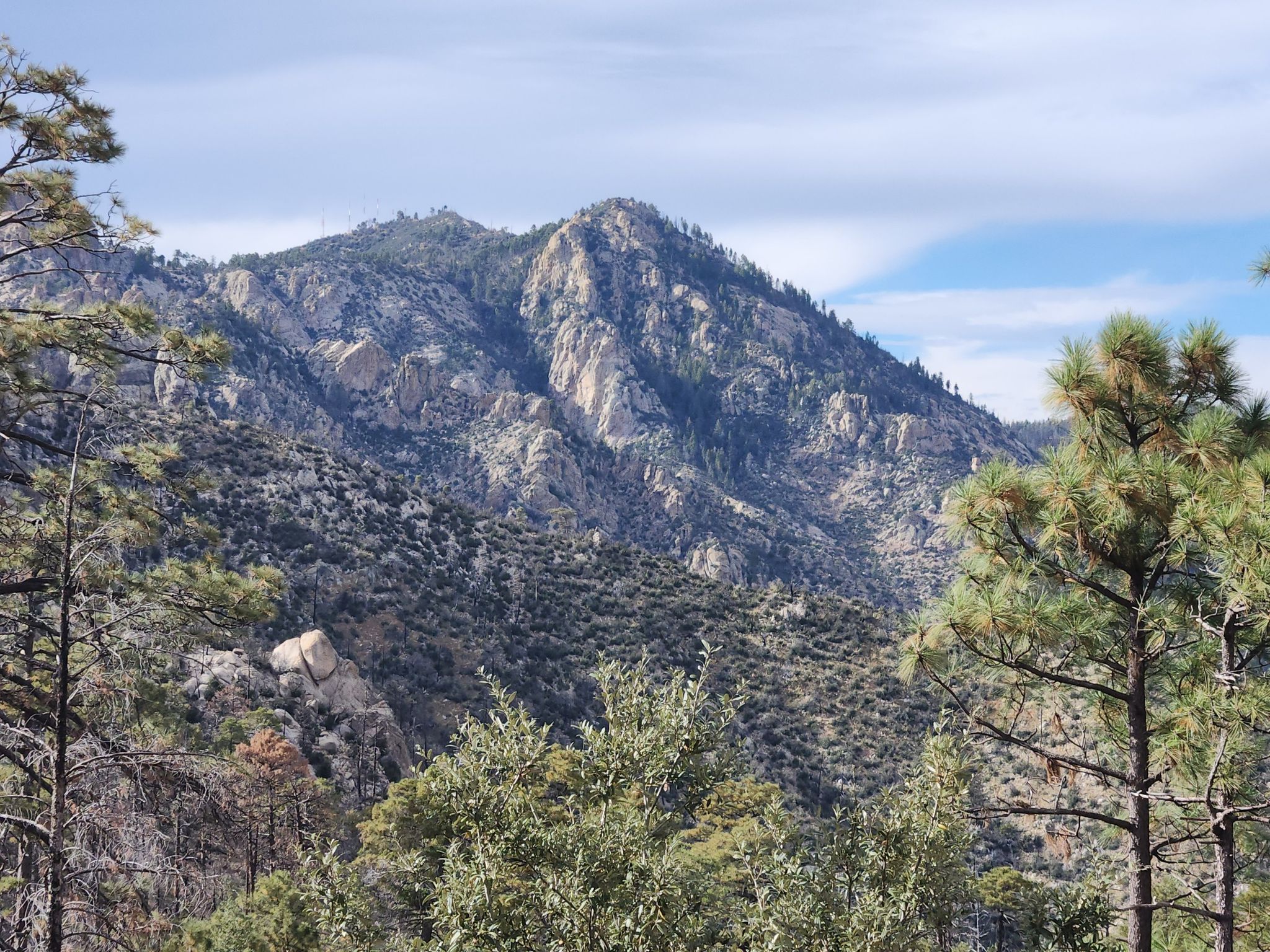 Rugged mountain peak covered in trees and rocks, under a partly cloudy sky. - Maverick Springs via Green Mountain Trail