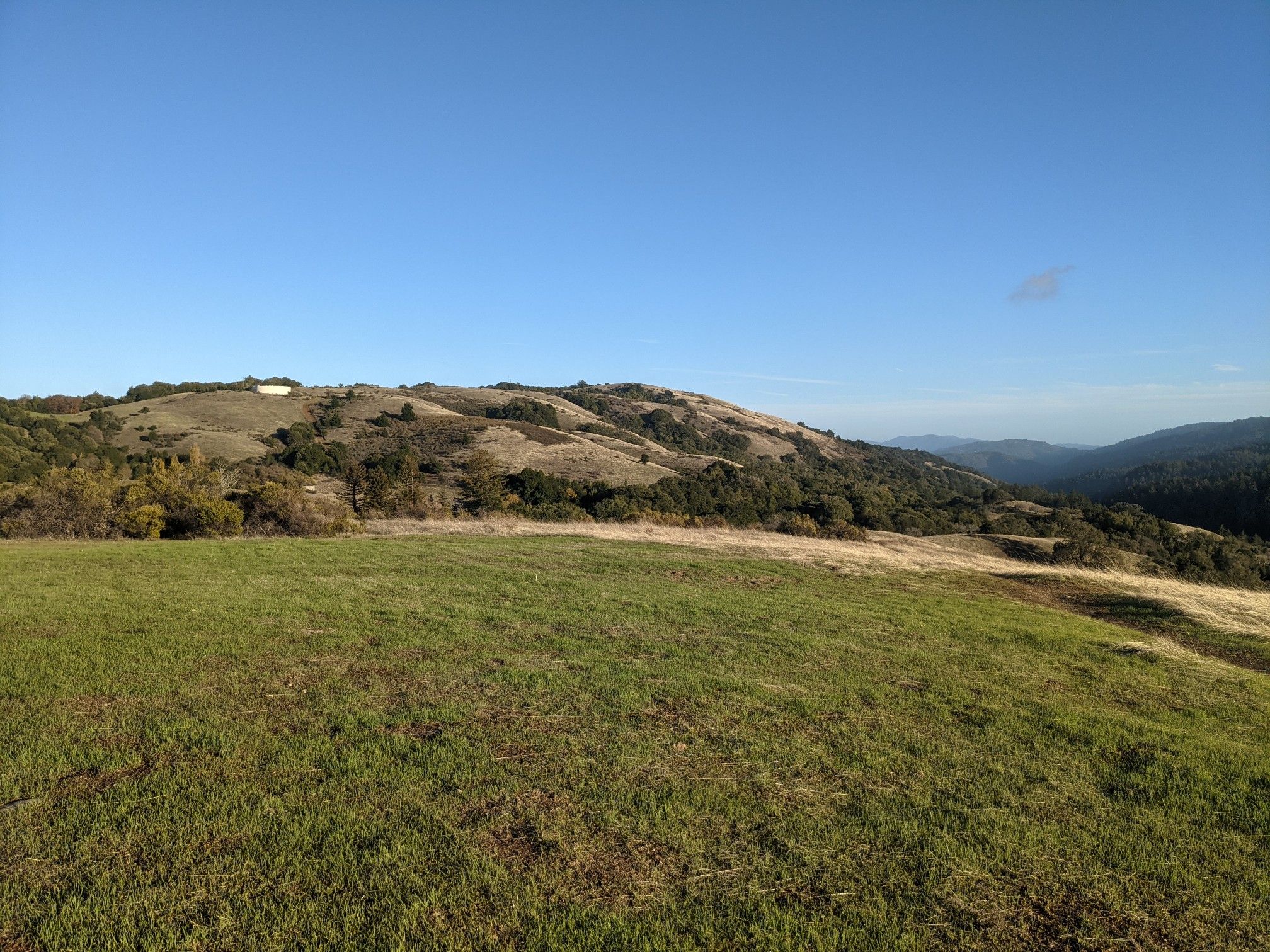 Expansive green and brown hills stretch under a clear, bright blue sky. - Canyon and Stevens Creek Nature Trail Loop