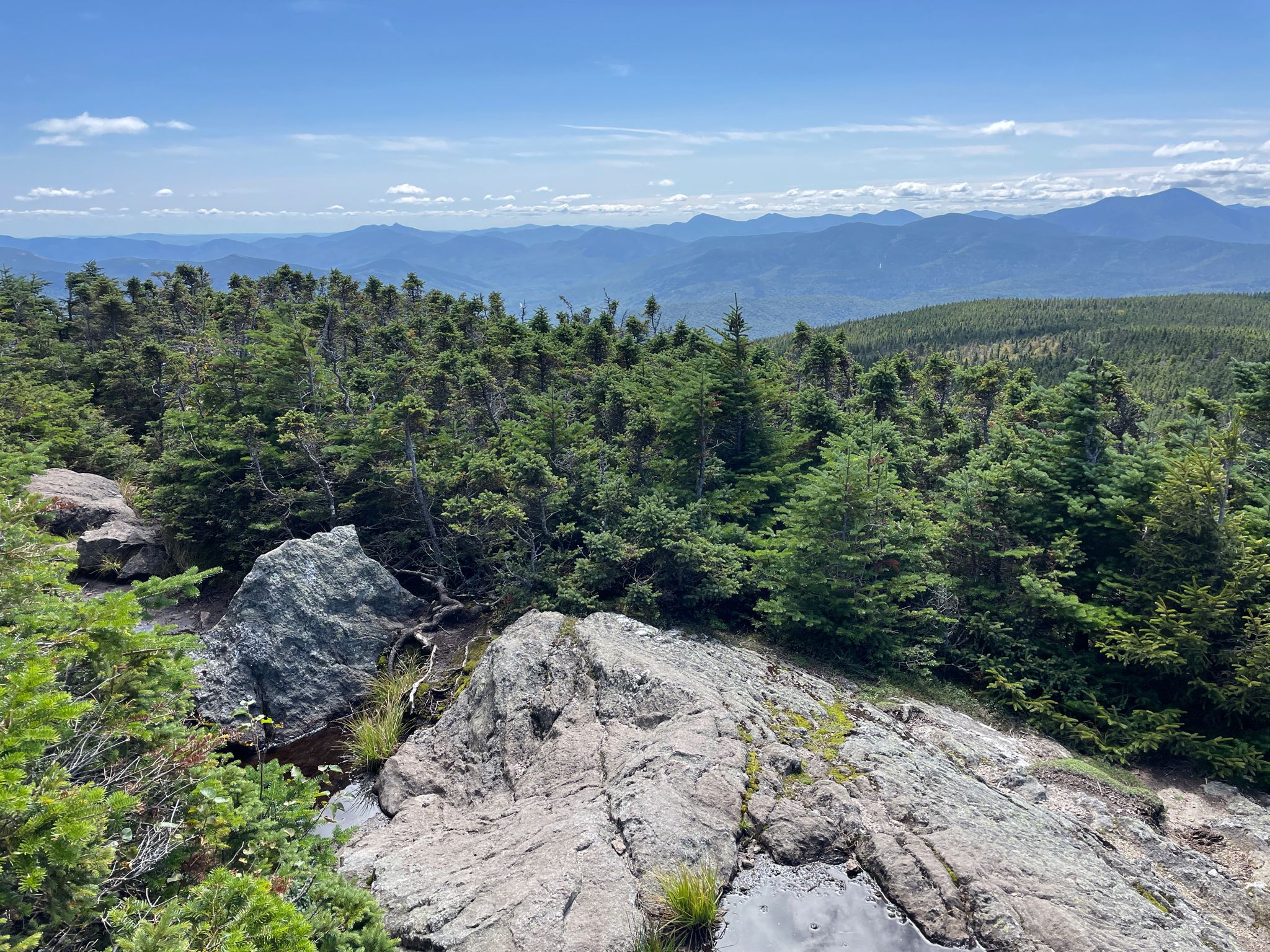 Rocky outcrop in the foreground, dense forest, and distant mountains under a blue sky. - Webster Cliff Trail run