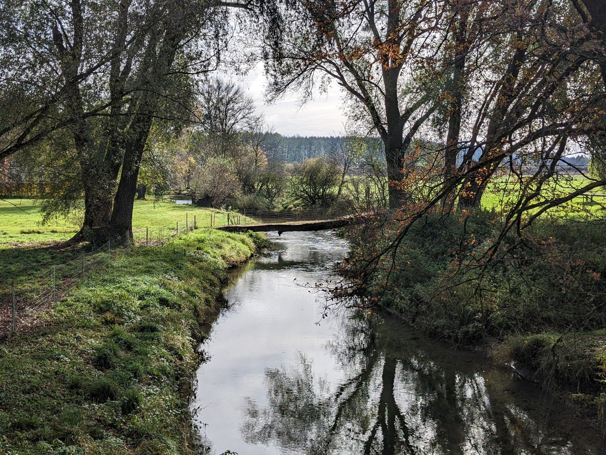 Blick auf den Bach Singold