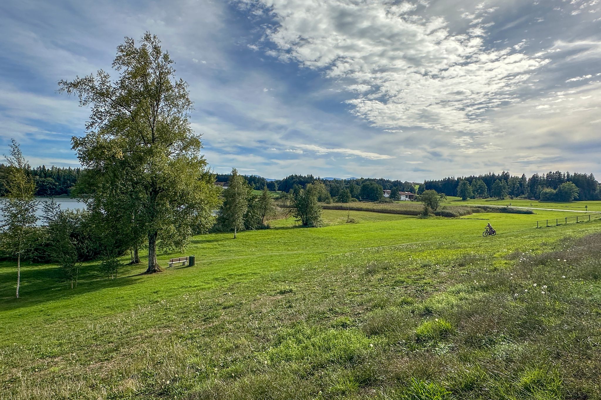 Pelham