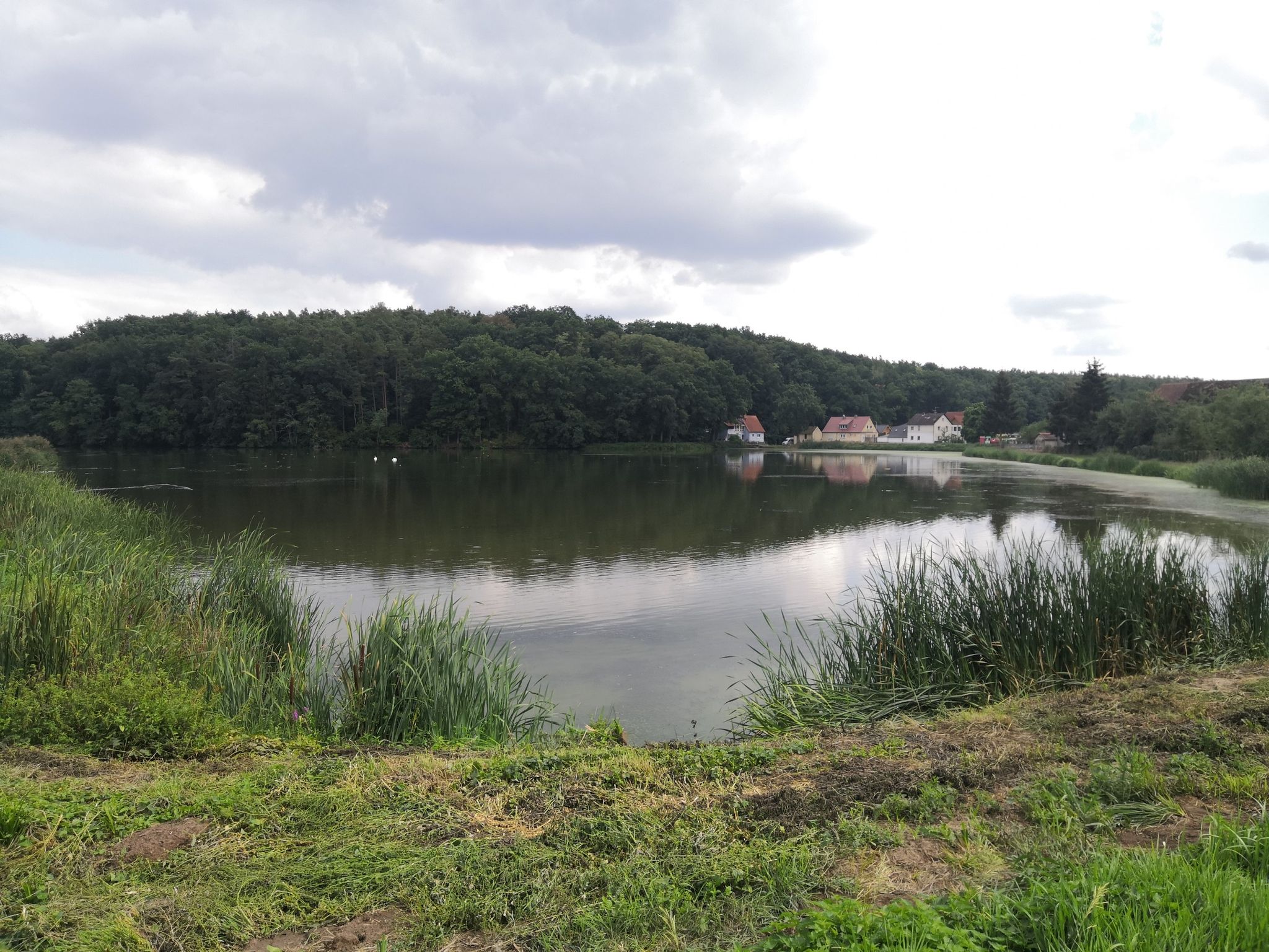 Saltendorf