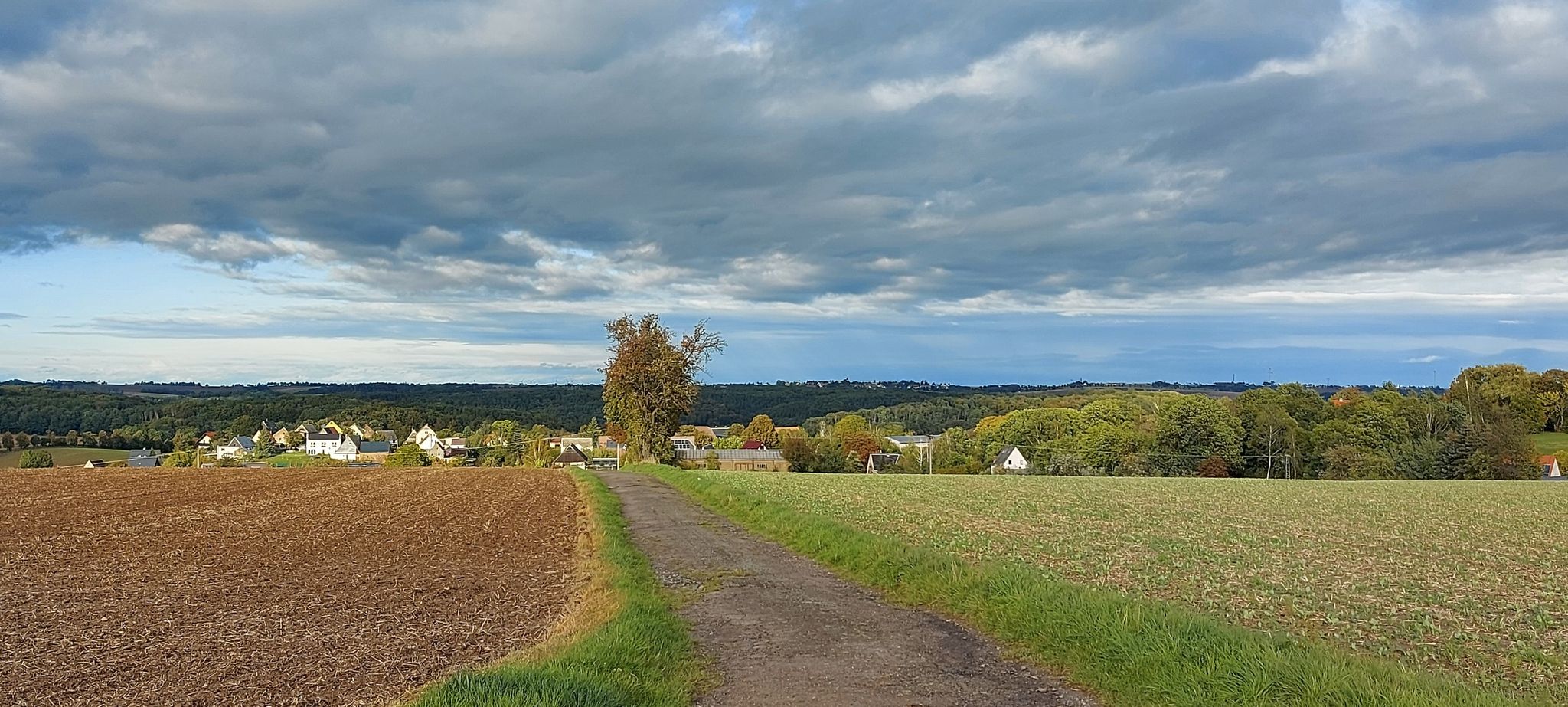 Blick nach Wendishain, am Horizont mein Dorf