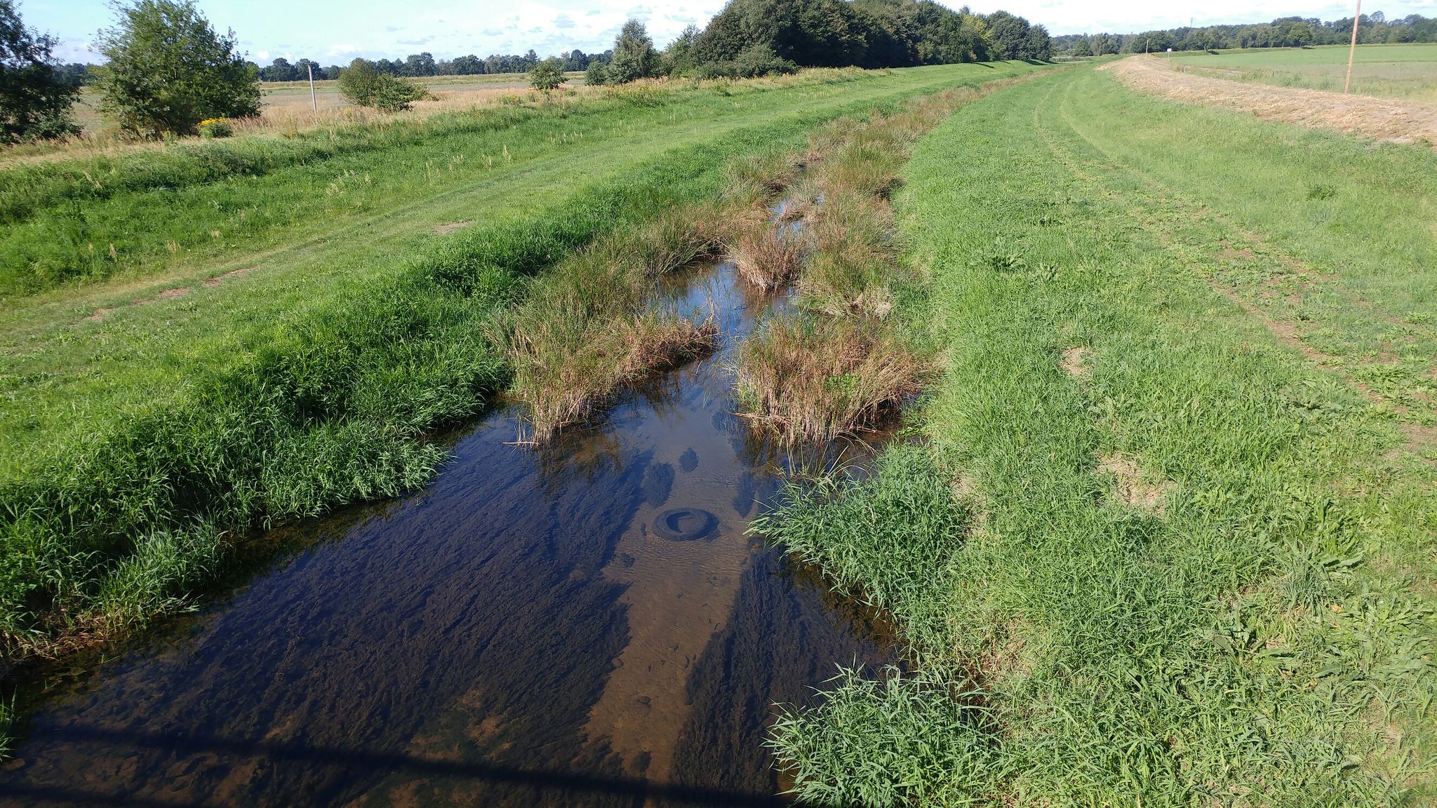 Schwarzwasser bei Spohla