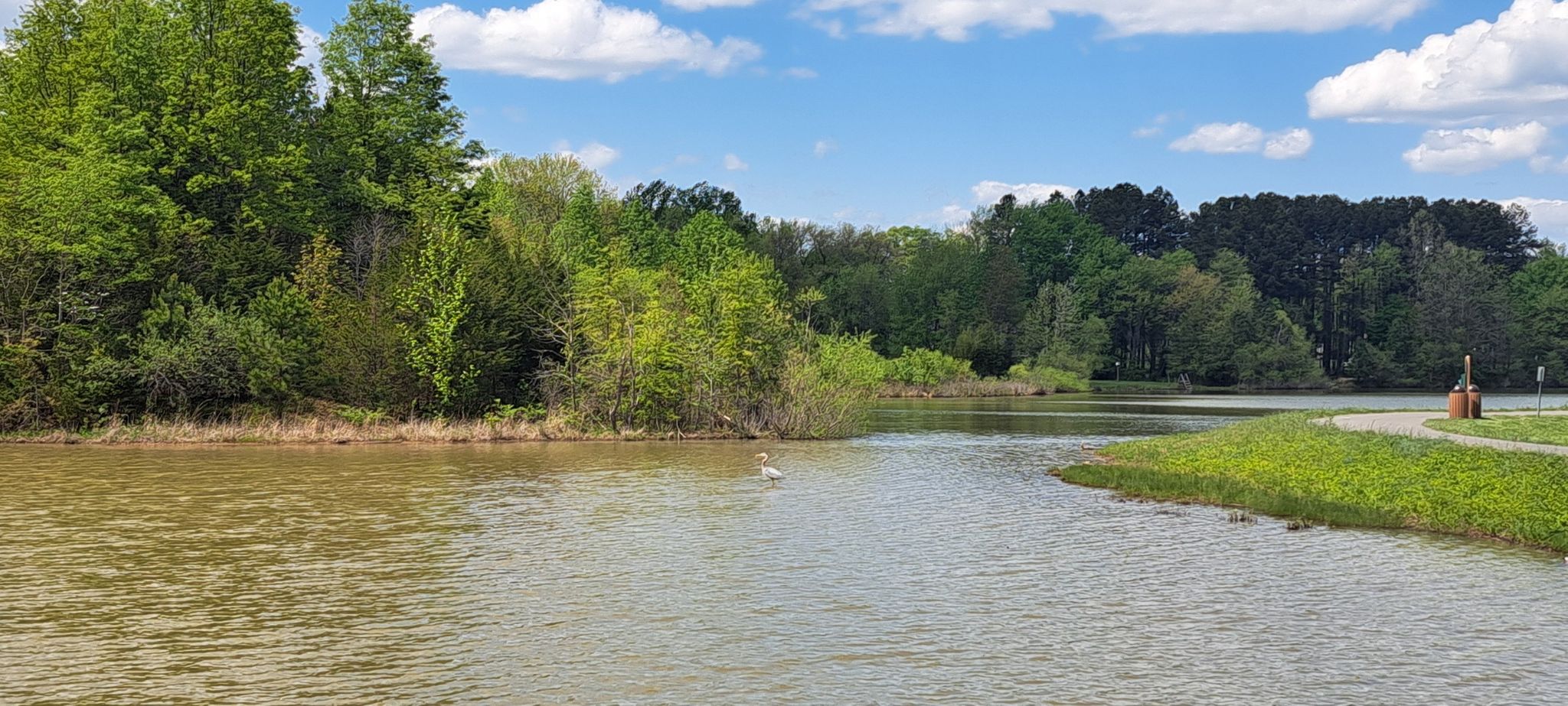 Lake with green trees, a white bird, and partly cloudy sky. - Brookside lakes loop