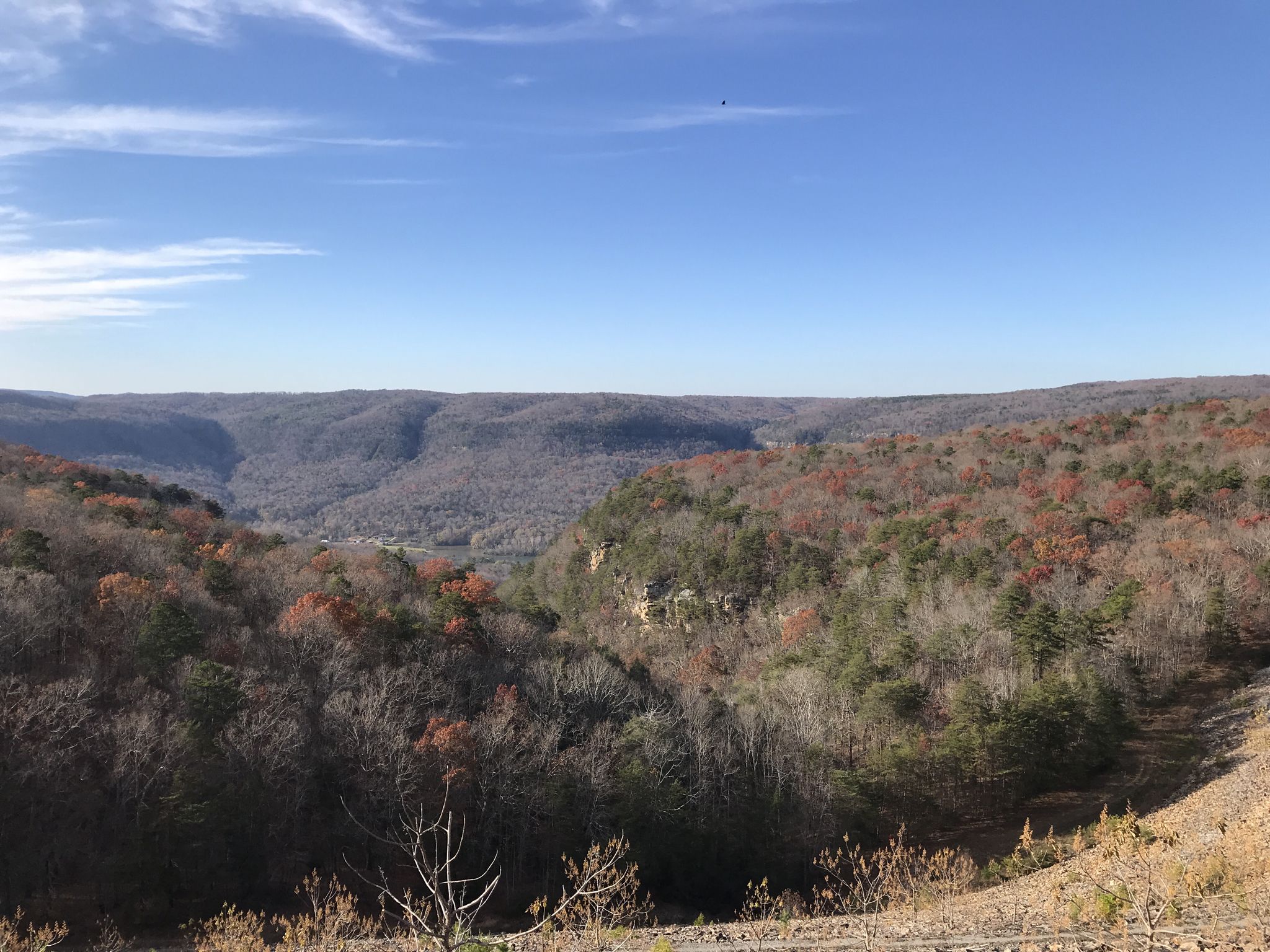 Expansive valley with autumn-colored trees under a clear blue sky. - Bike loop from St. Elmo's