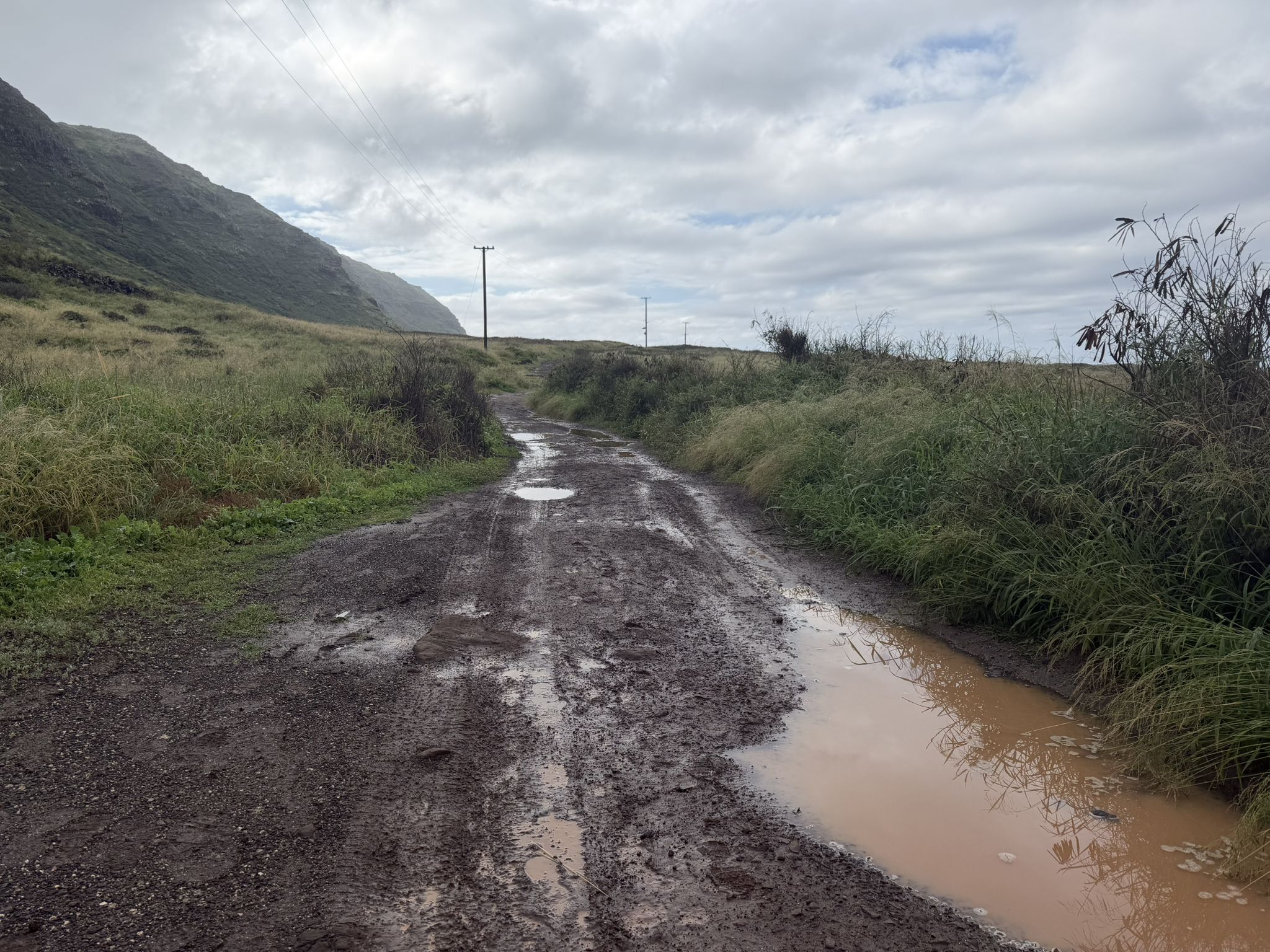 Muddy dirt road with puddles, flanked by green hills under an overcast sky. - Ka‘ena Point via Farrington Highway