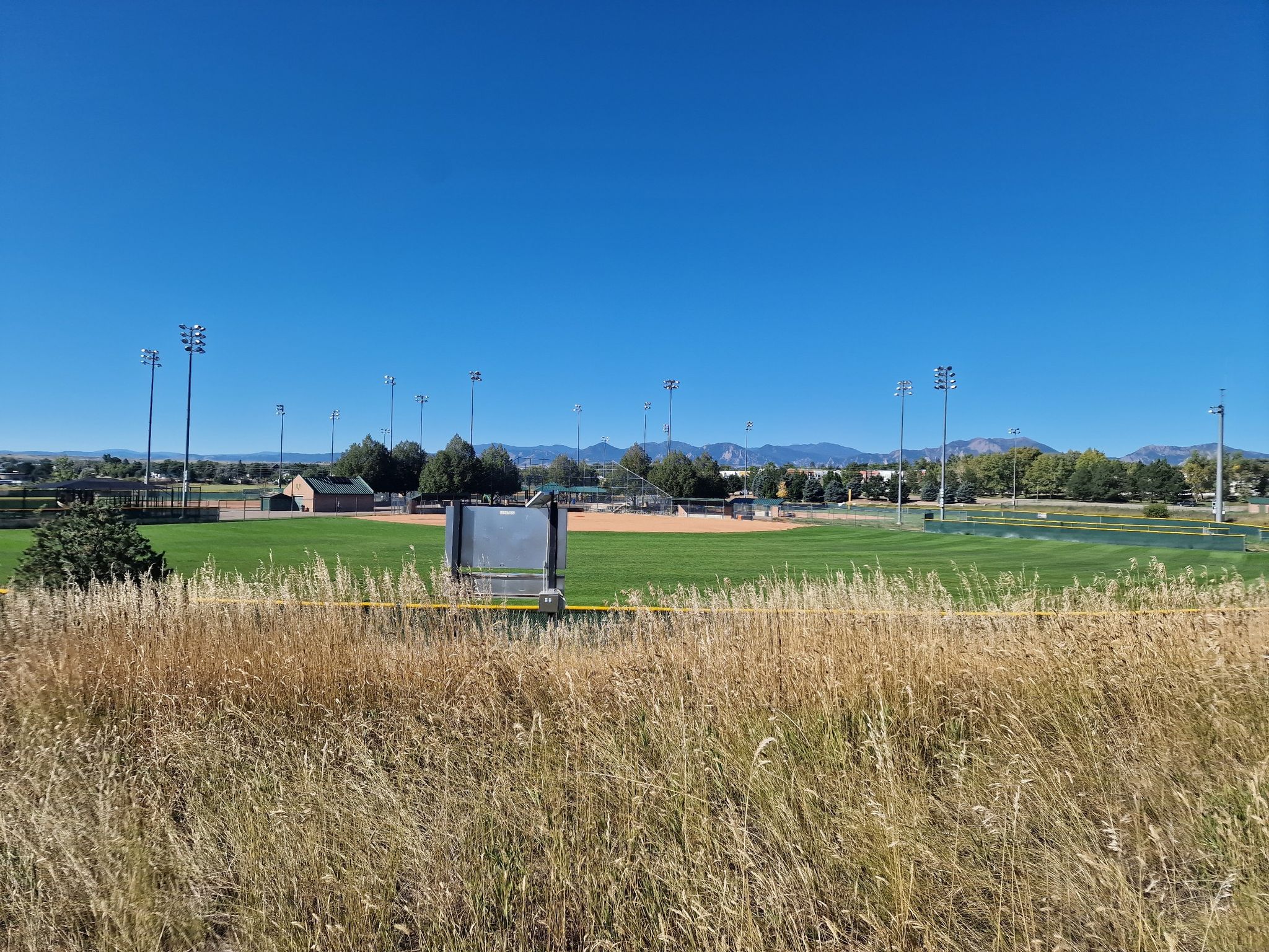 Multiple green baseball fields with light poles under a clear blue sky. - Waneka Lake and Harney-Lastoka Trail Loop