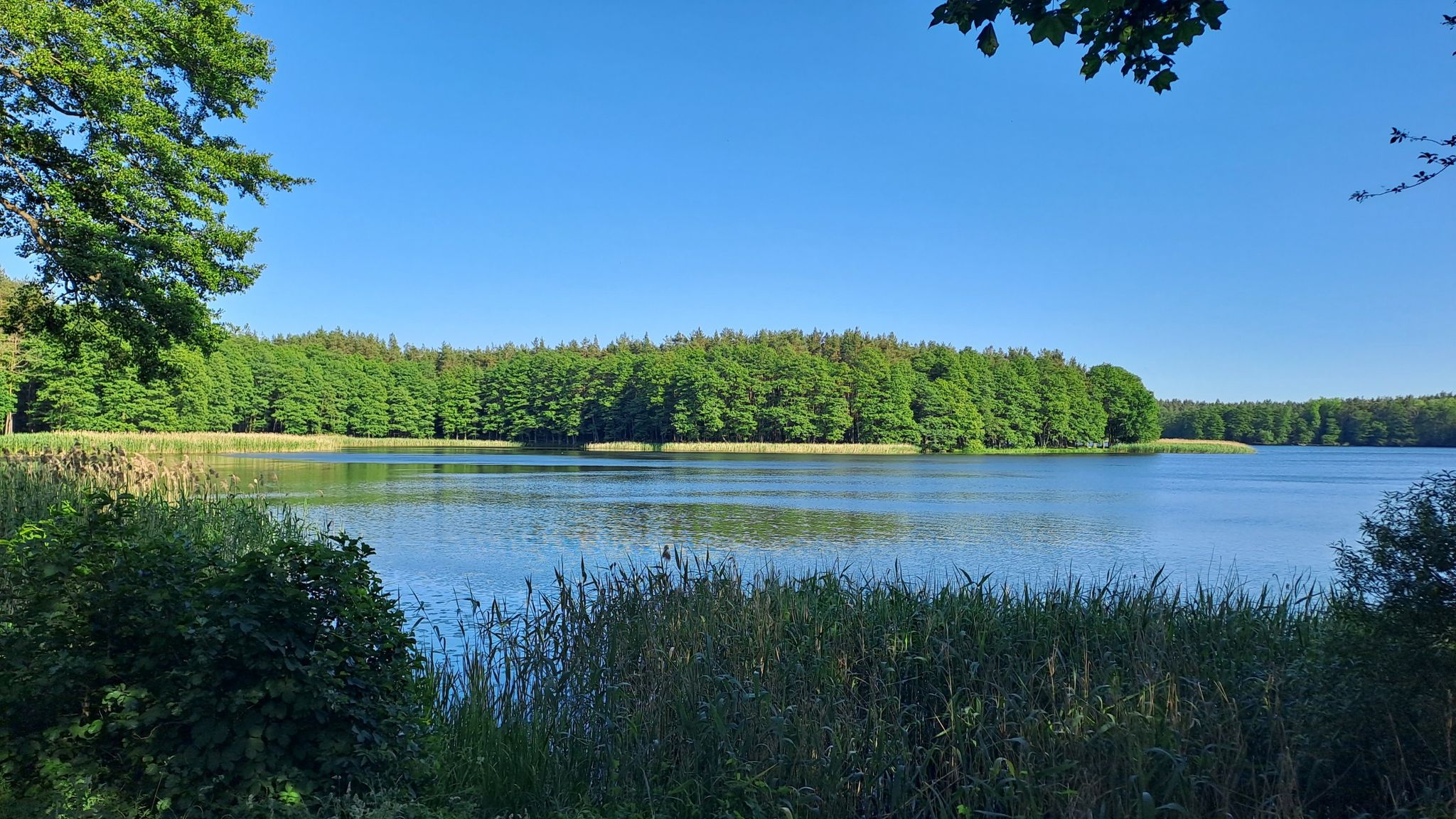 Der Jezero Trzesiecko ("Streitzigsee")