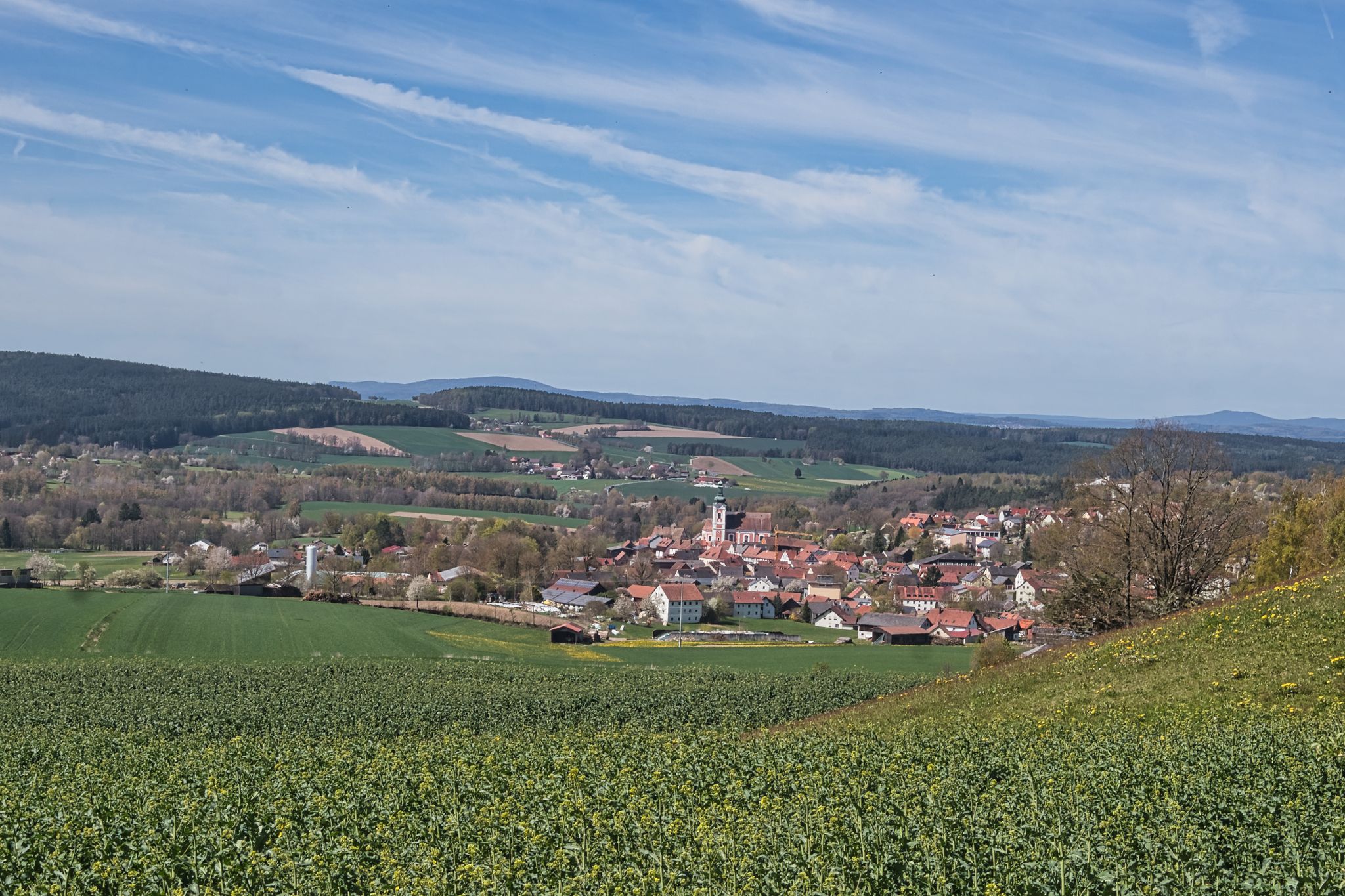 Blick auf Bad Neualbenreuth