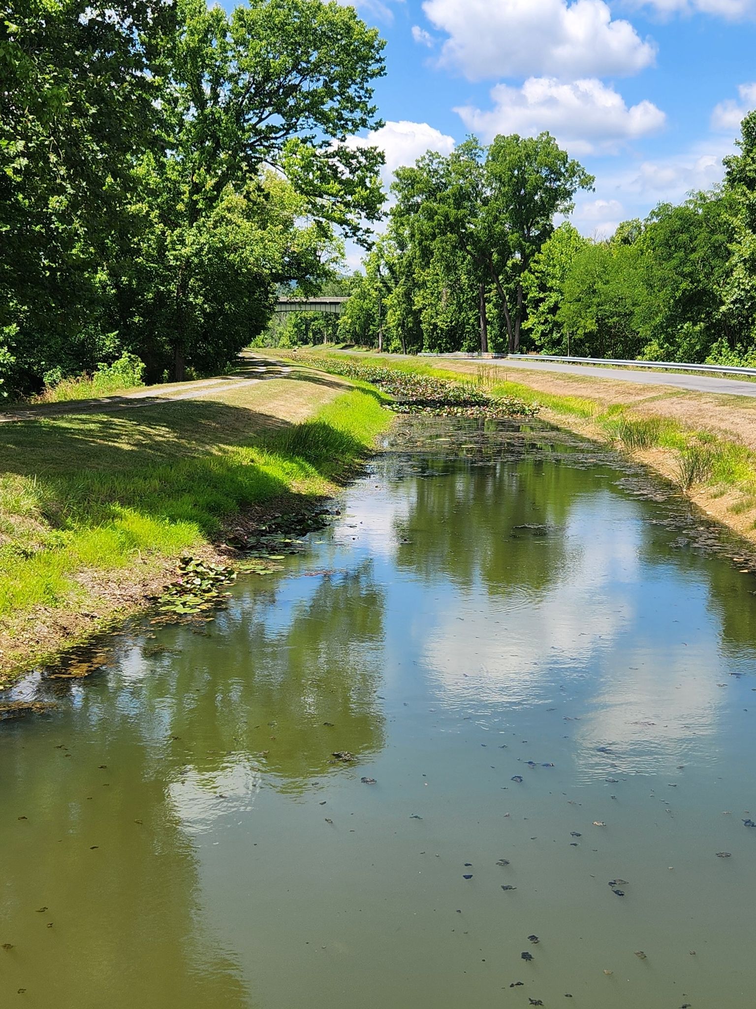 Calm canal water reflects clouds, surrounded by green banks and trees. - Indigo Neck Primitive Campsite – Round Top Cement Mill loop from Woodmont Natural Resource Management Area