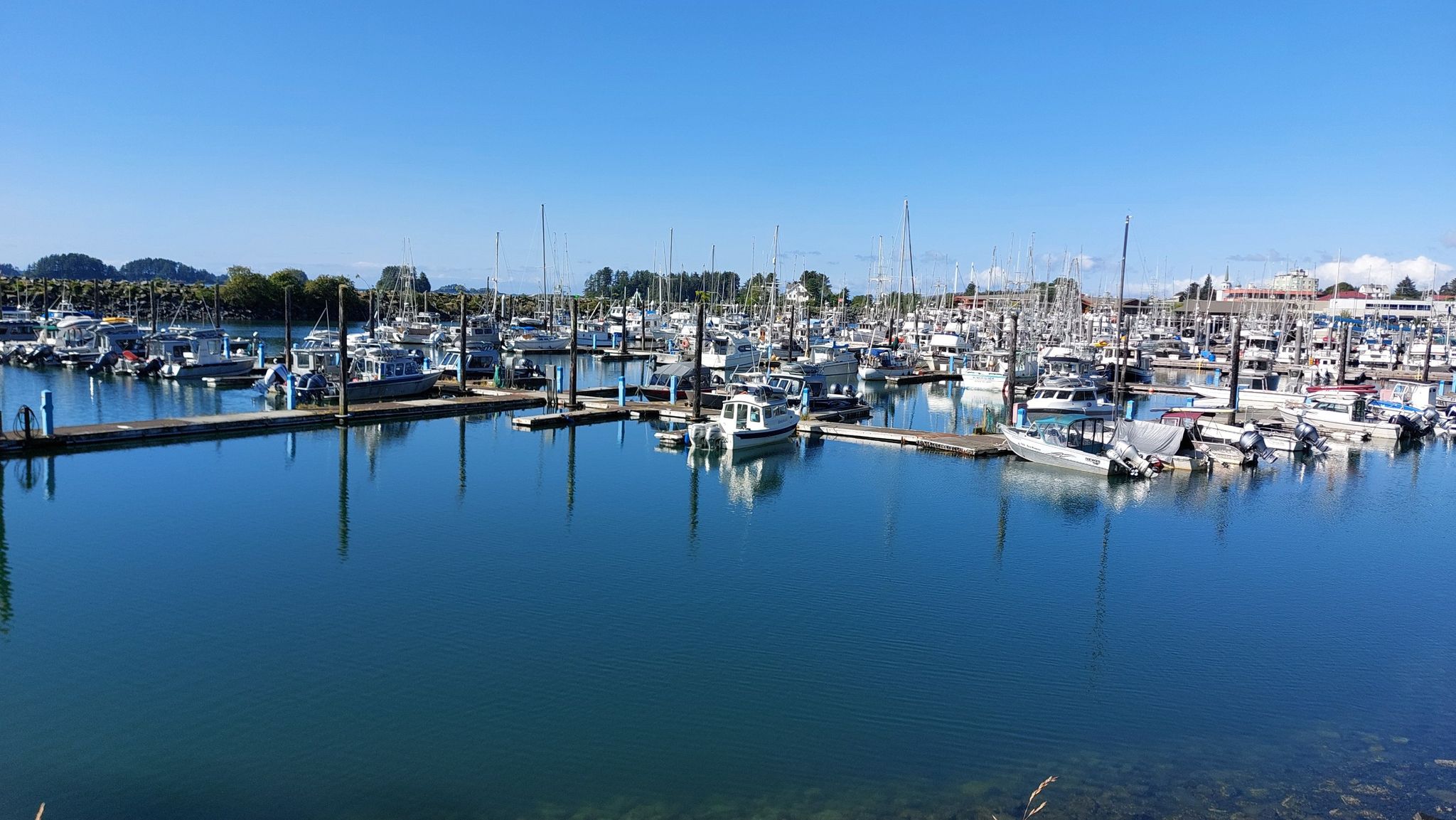 Marina filled with many boats docked in calm water under a clear blue sky. - Running loop from Sitka