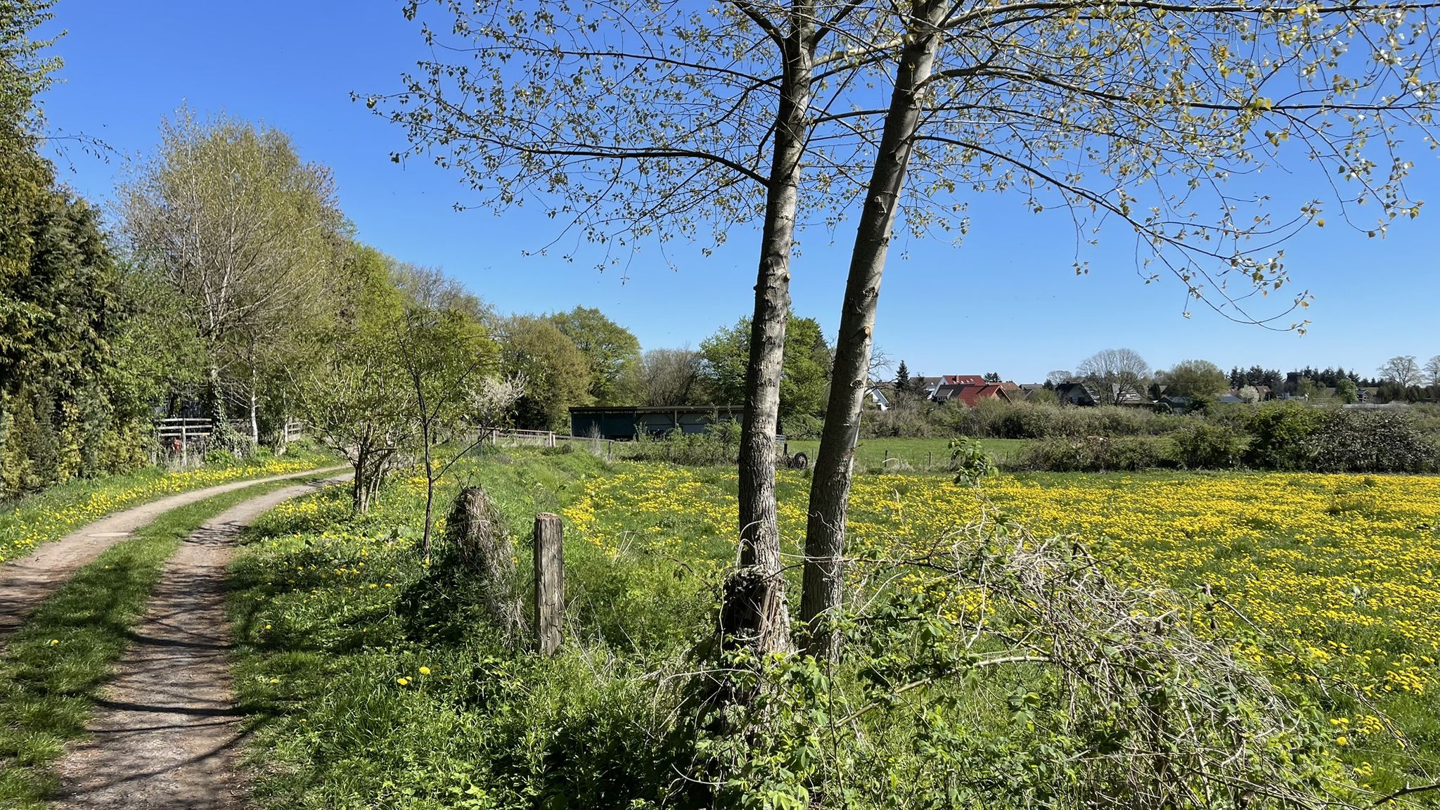 Immer noch der Butenpadd