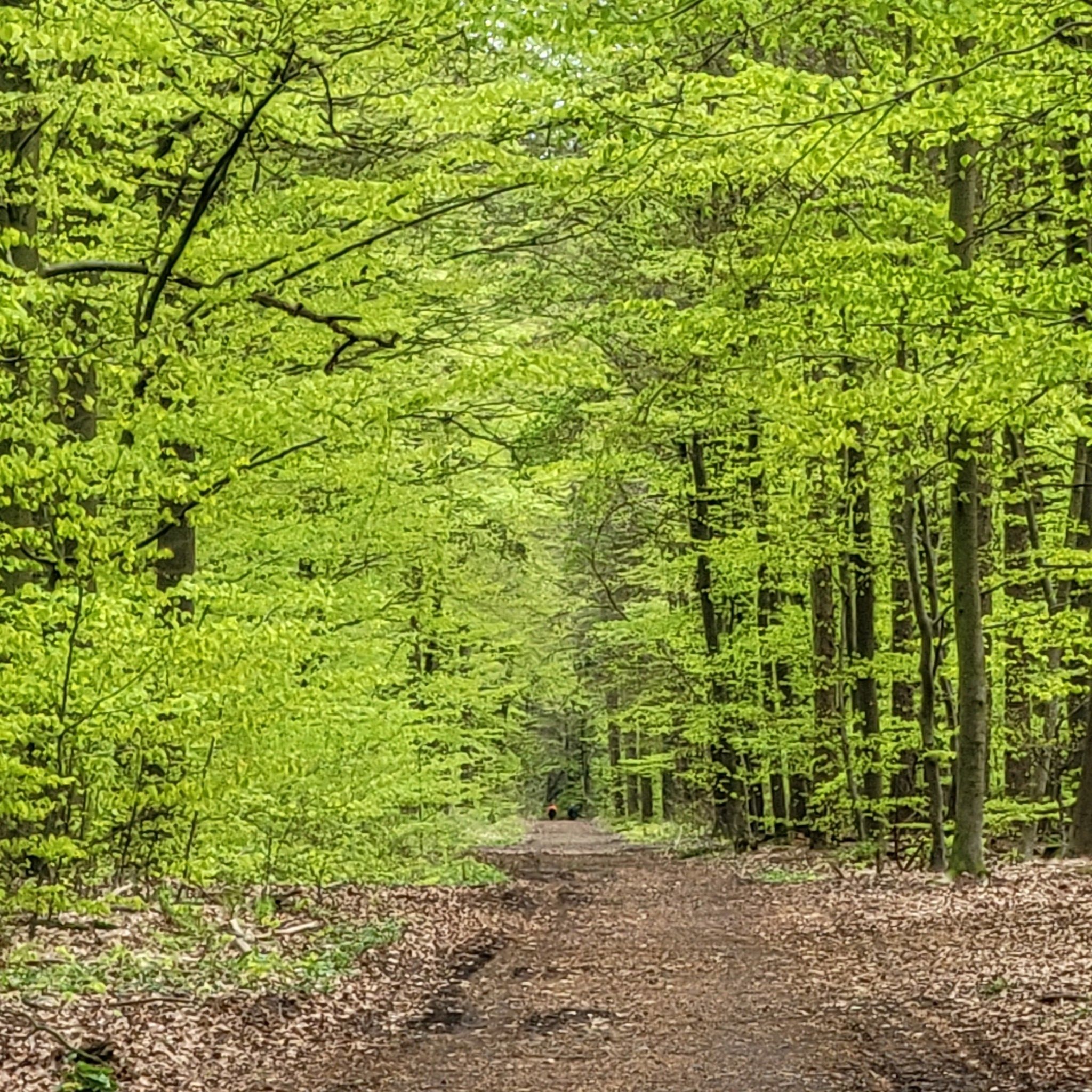 dahinten gehen die Menschen 4 und 5, mehr habe ich in zwei Stunden nicht gesehen...