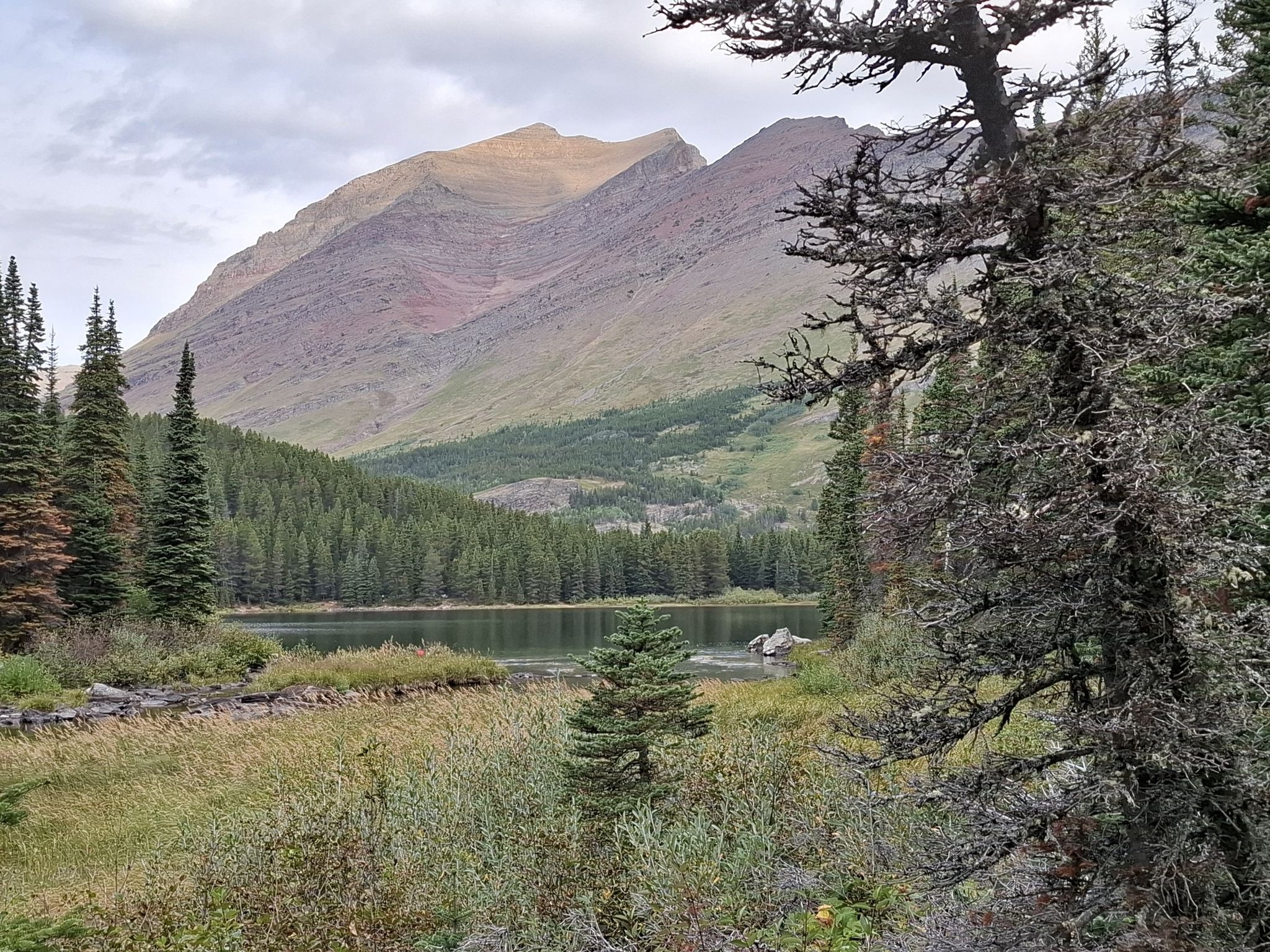 A calm lake surrounded by pine trees and large mountains under an overcast sky. - Grinnell Glacier Trail