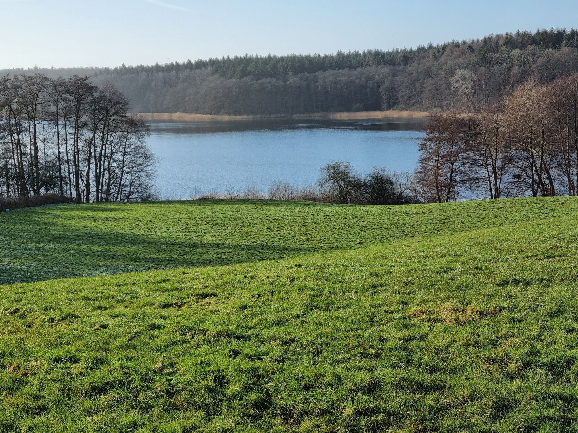 Belauer See