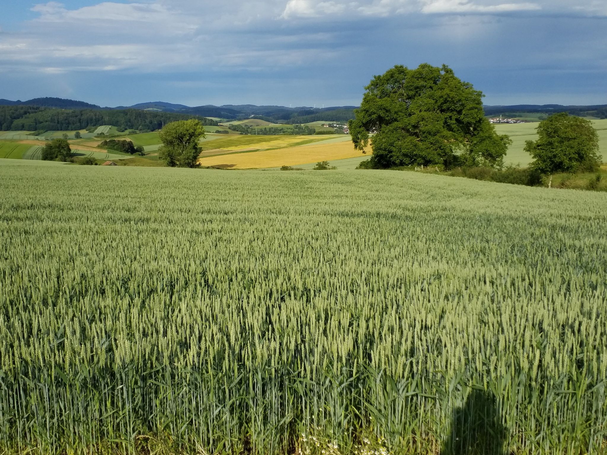 Schöne Aussicht