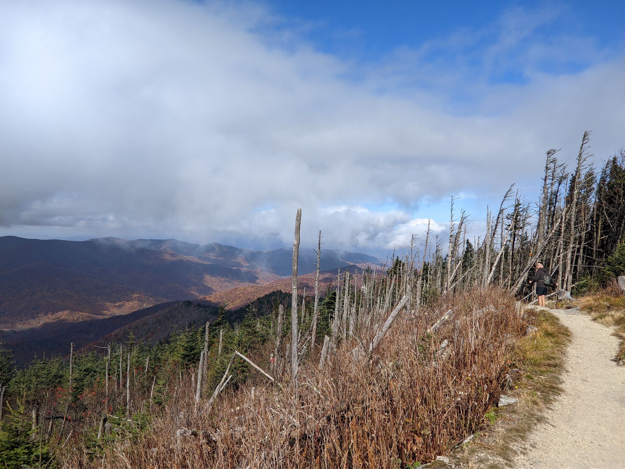 A person walks a dirt path through dead trees overlooking cloudy mountains. - Black Mountain Crest Trail
