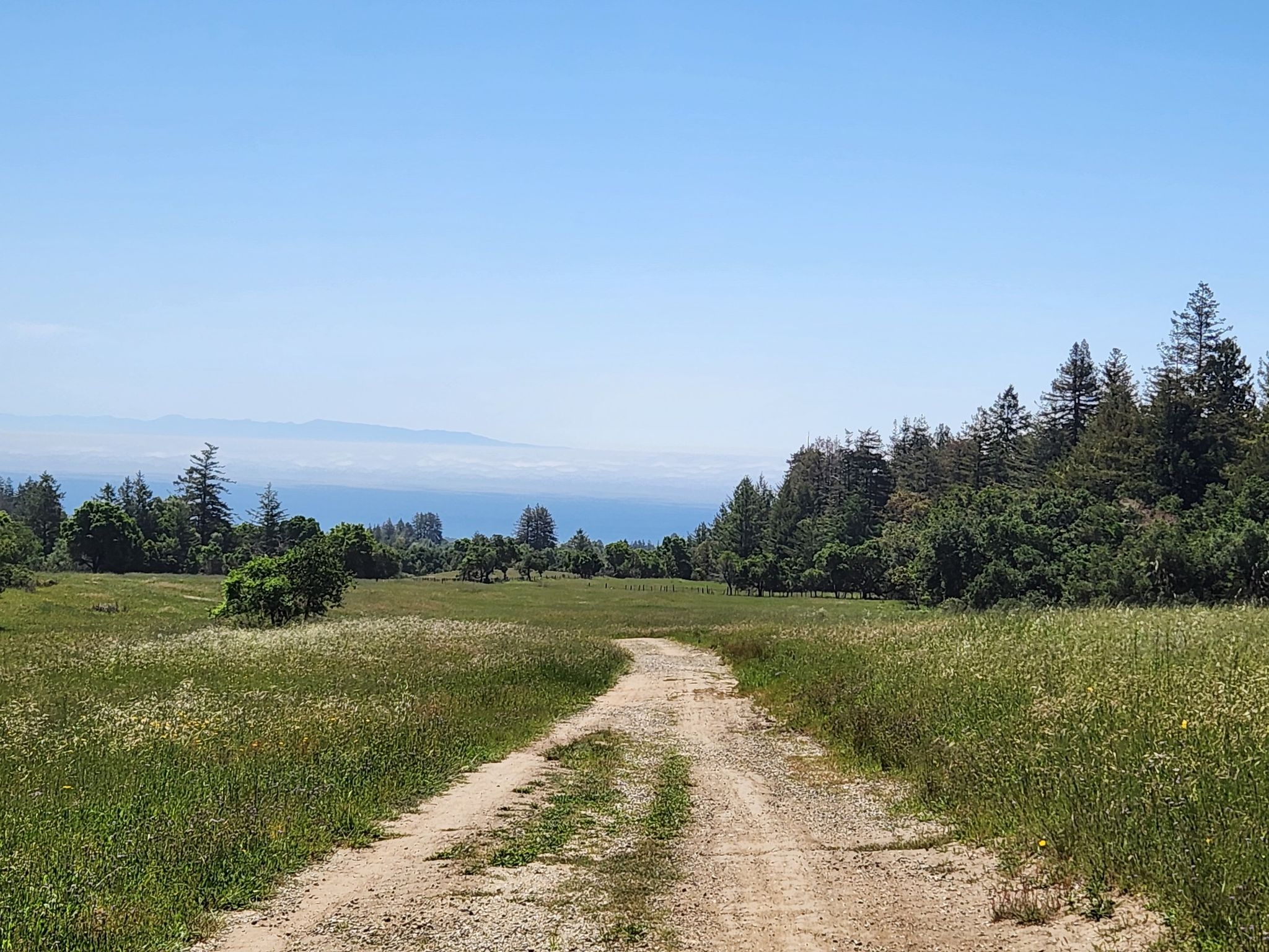 Dirt path through green field towards distant blue ocean and sky. Sunny. - Chuck Beebe Scenic Bench – U-Con Trail loop from Mount Hermon